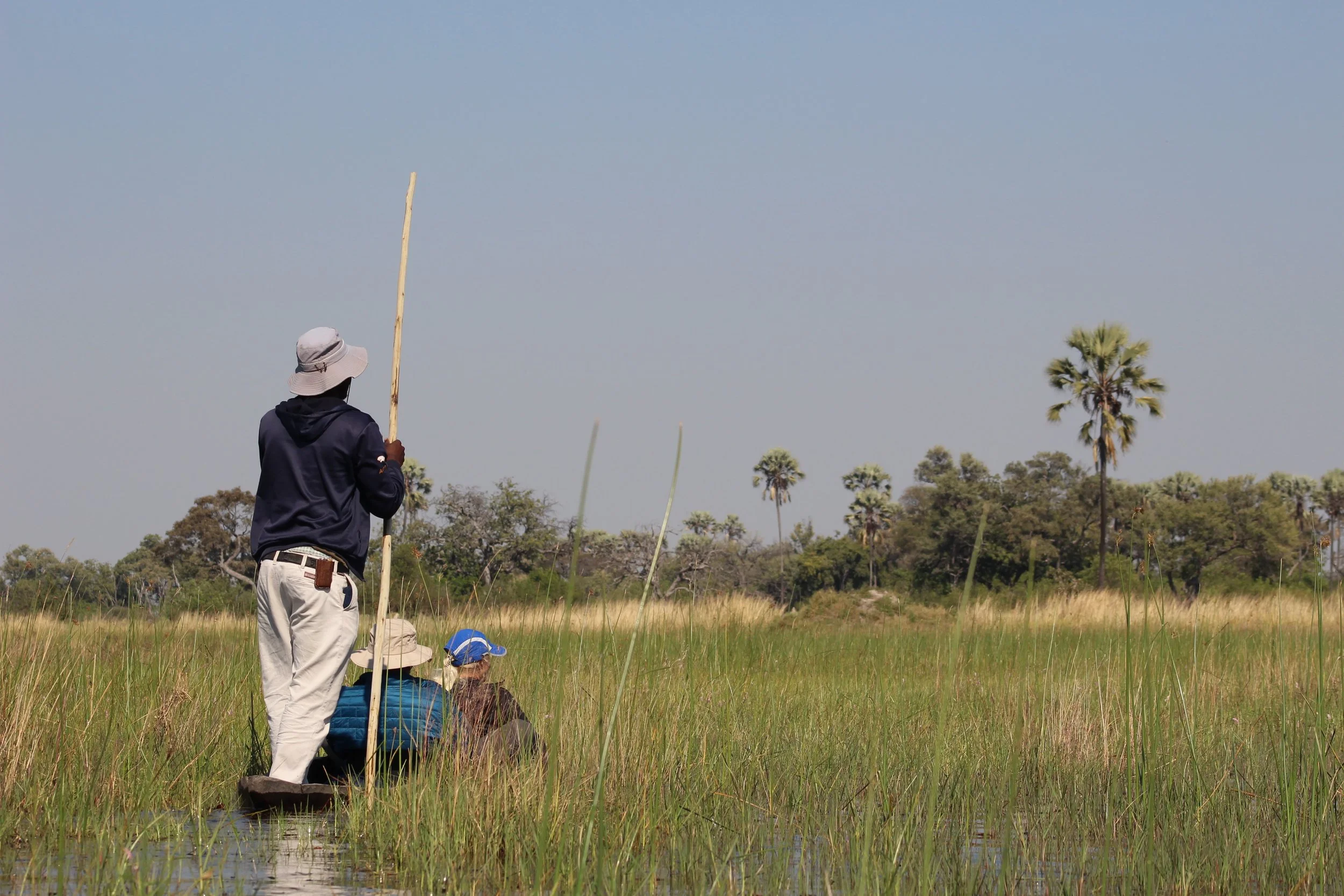 A traditional poler poles a mokoro canoe through a calm green channel in the Okavango Delta.