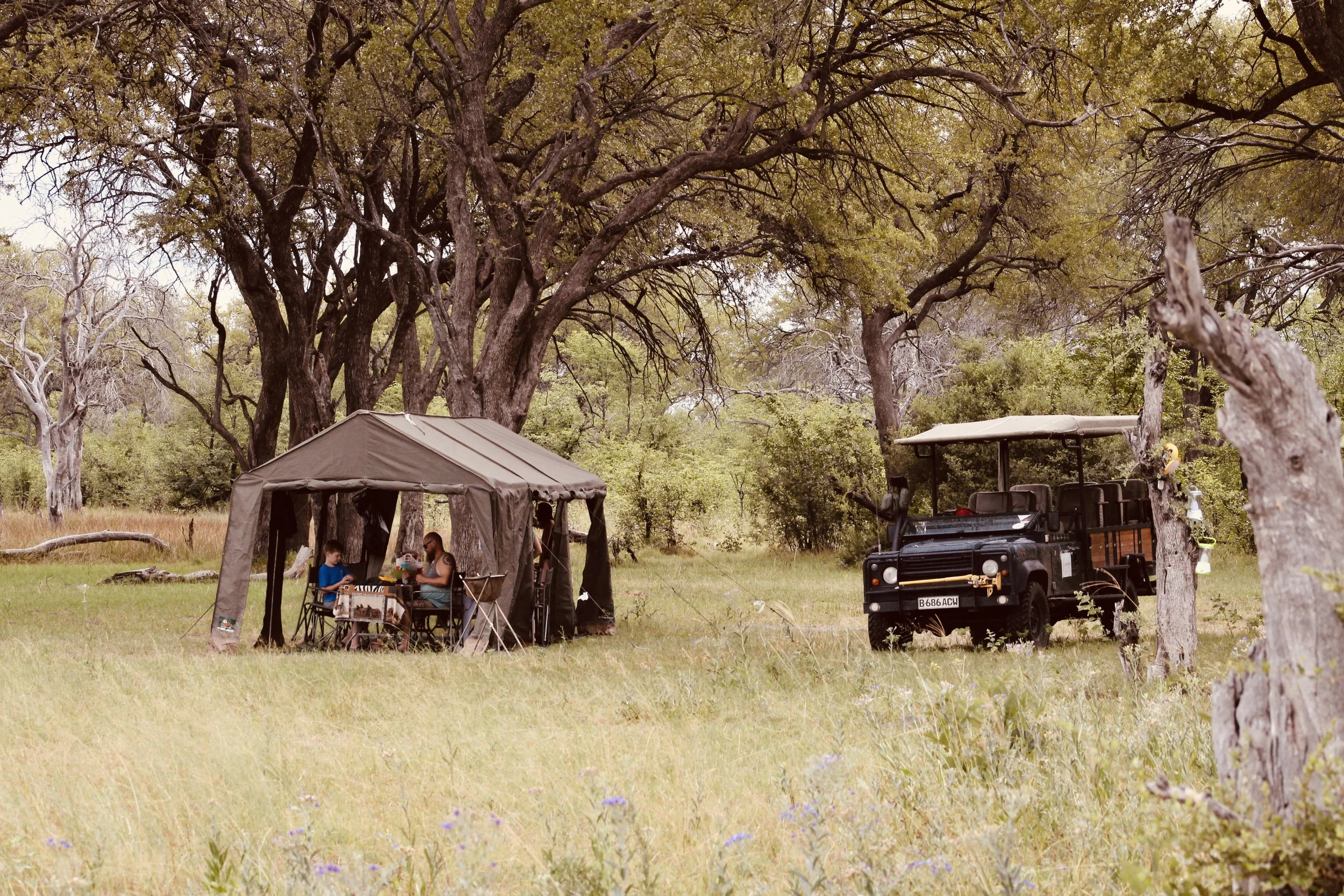 A mobile safari camp showing the main mess tent with a game drive vehicle parked next to it in the Okavango Delta.