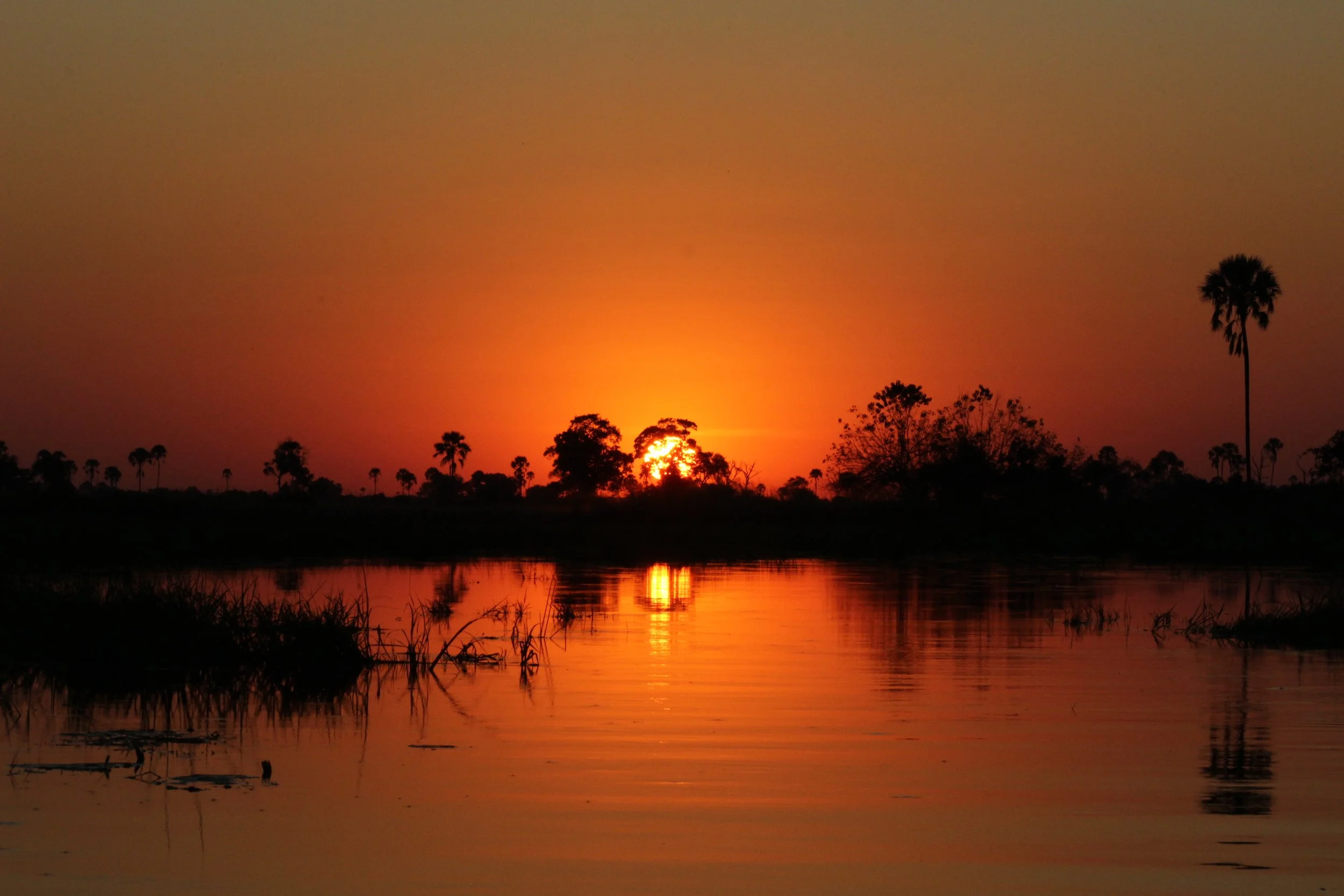 The sun sets a deep orange over a calm lagoon reflecting tree silhouettes in the Okavango Delta.