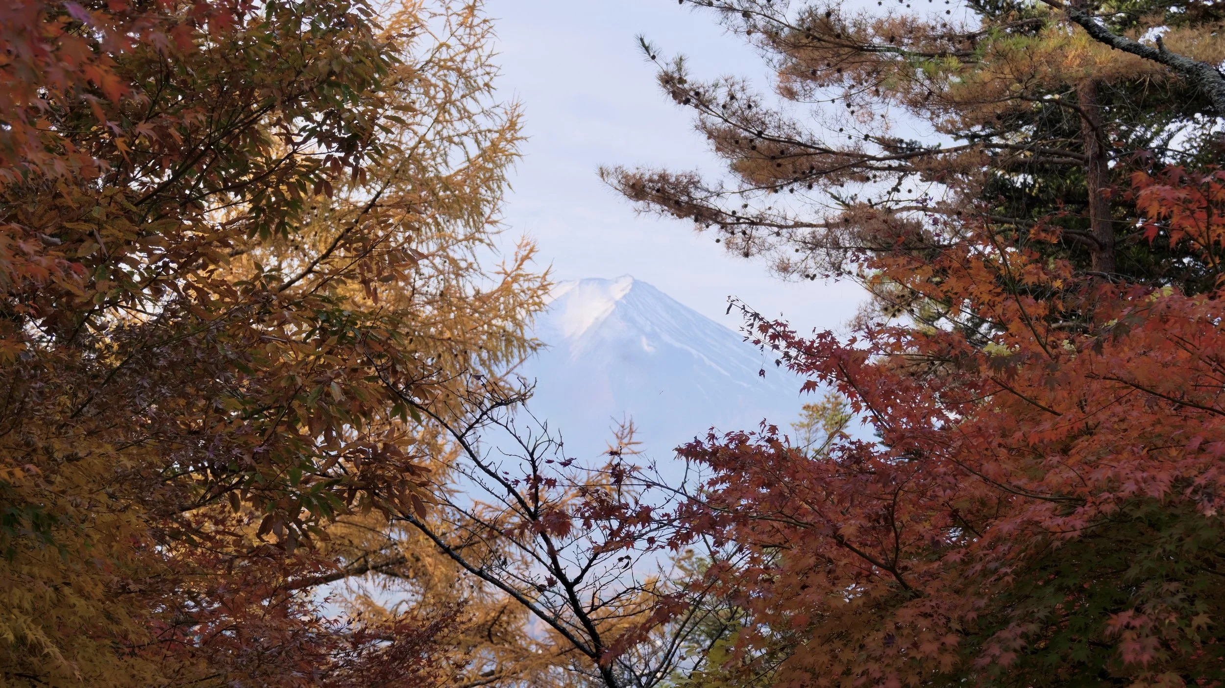 DSCF5253.jpg