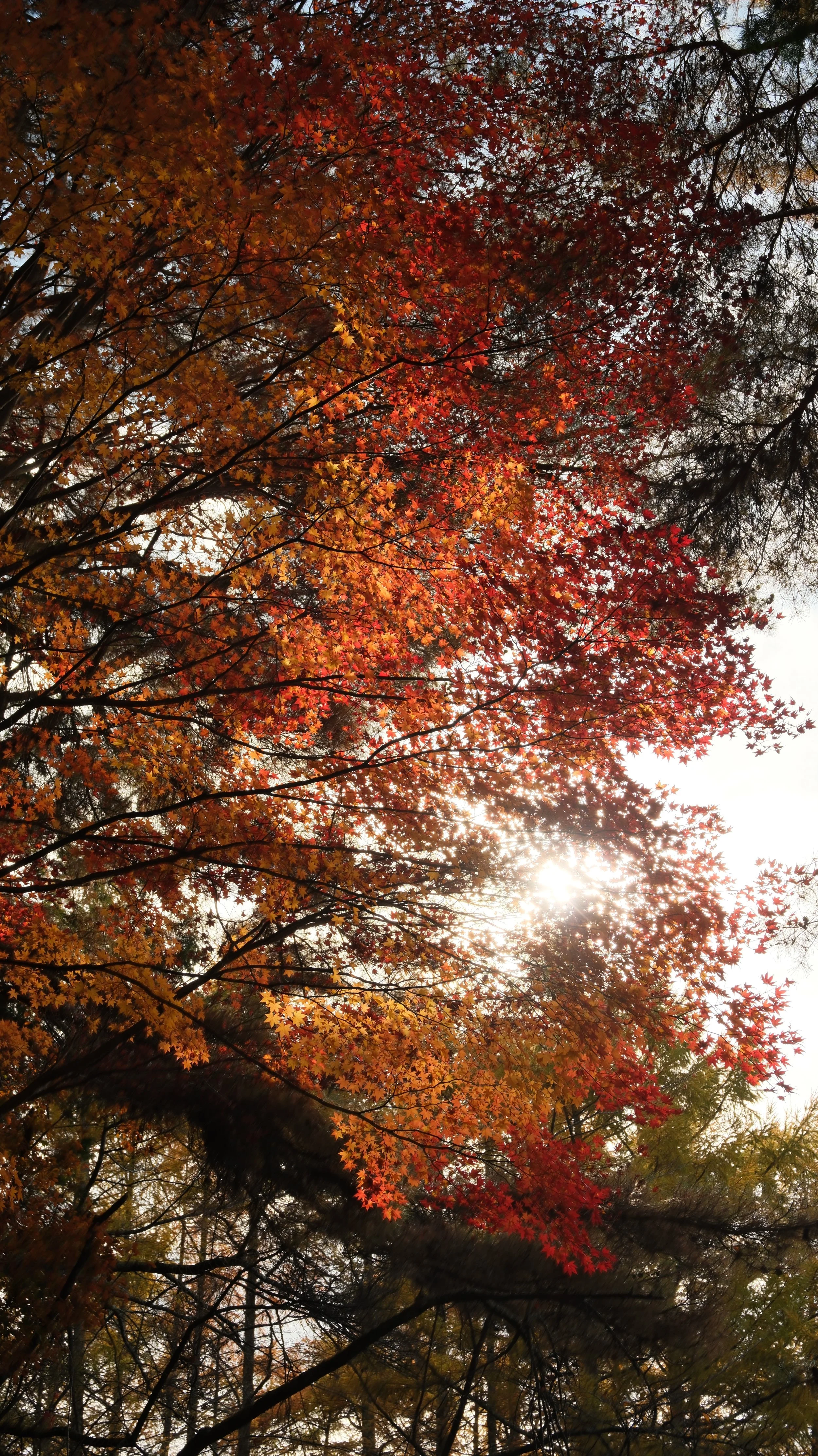 DSCF5316.JPG