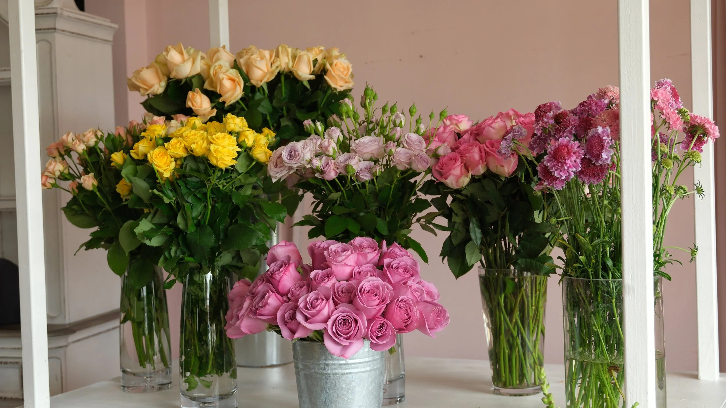 DSCF7582 2.JPG