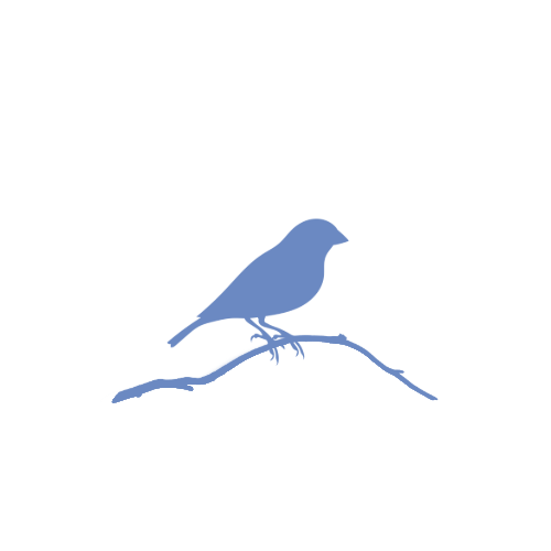 Tidy Bird
