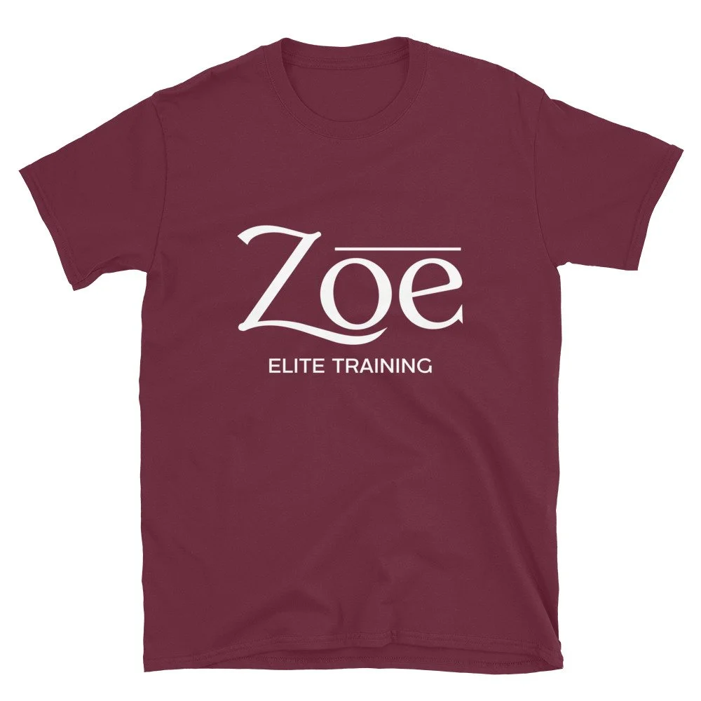 unisex-basic-softstyle-t-shirt-maroon-front-6a8767ac57289.jpg