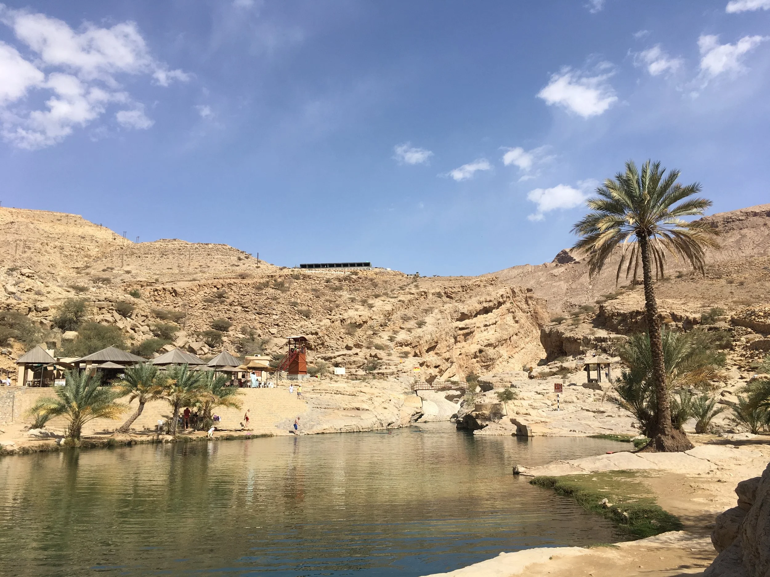 IMG_7301.jpeg