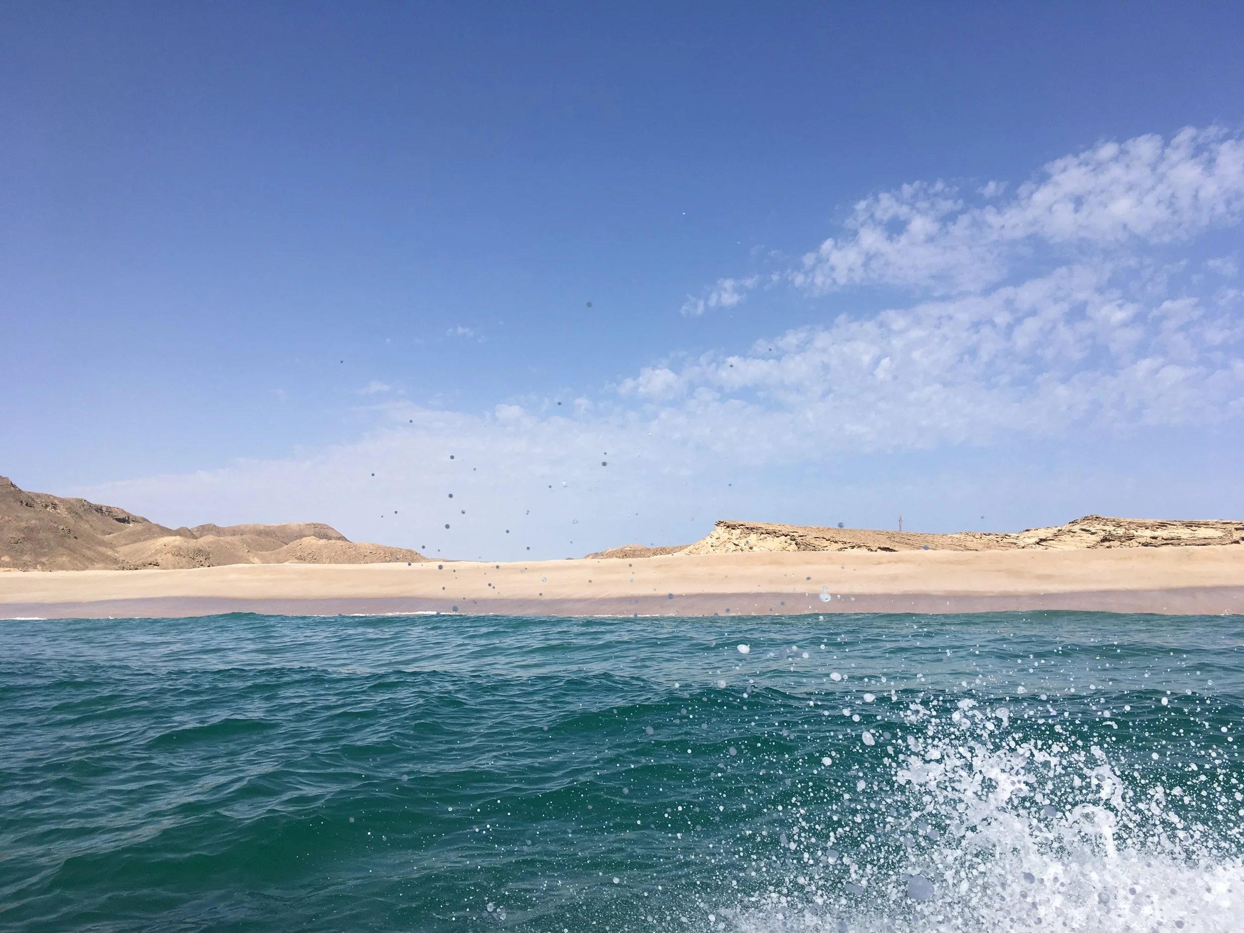 IMG_7186.jpeg