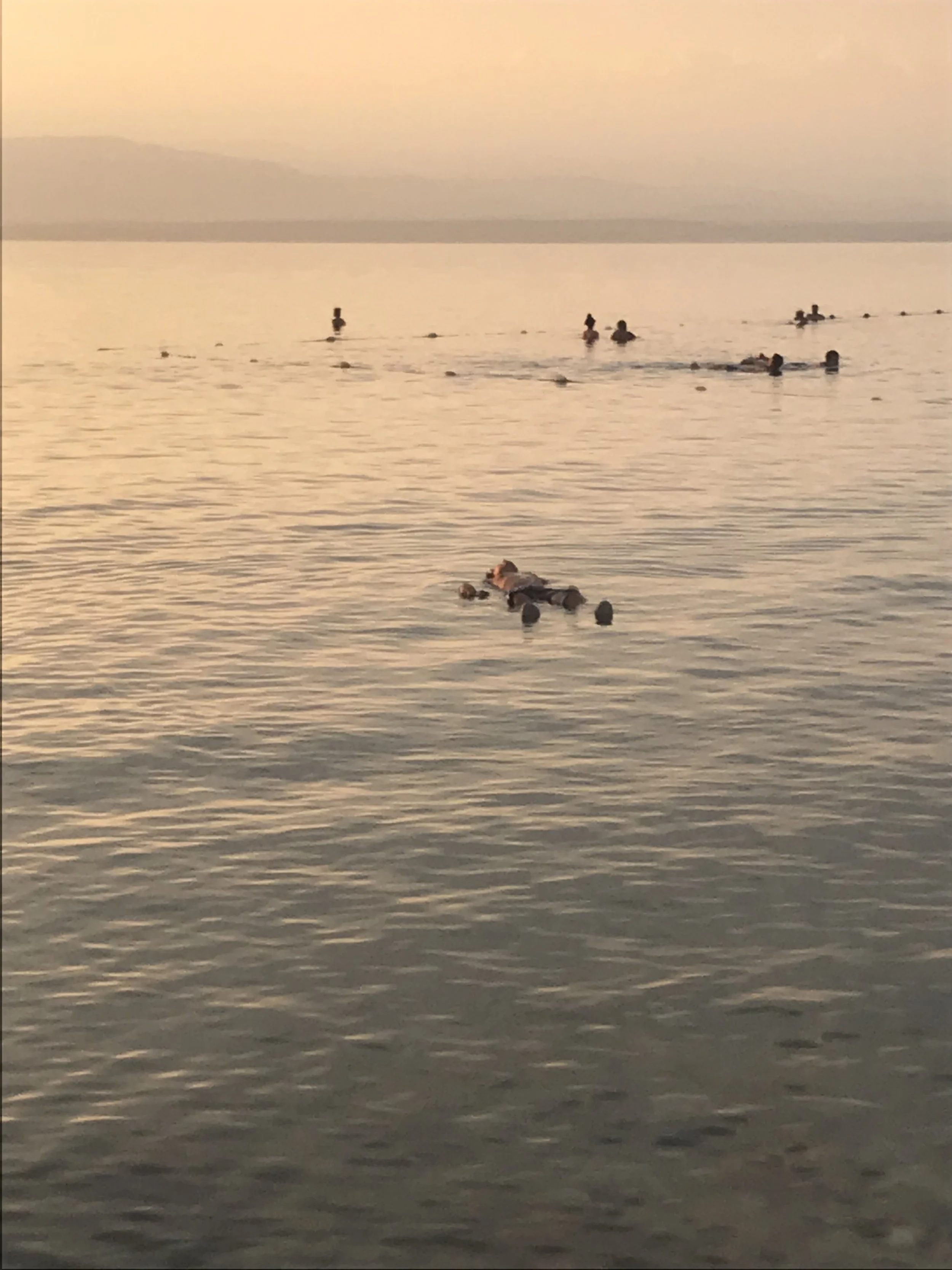 IMG_0707.jpeg