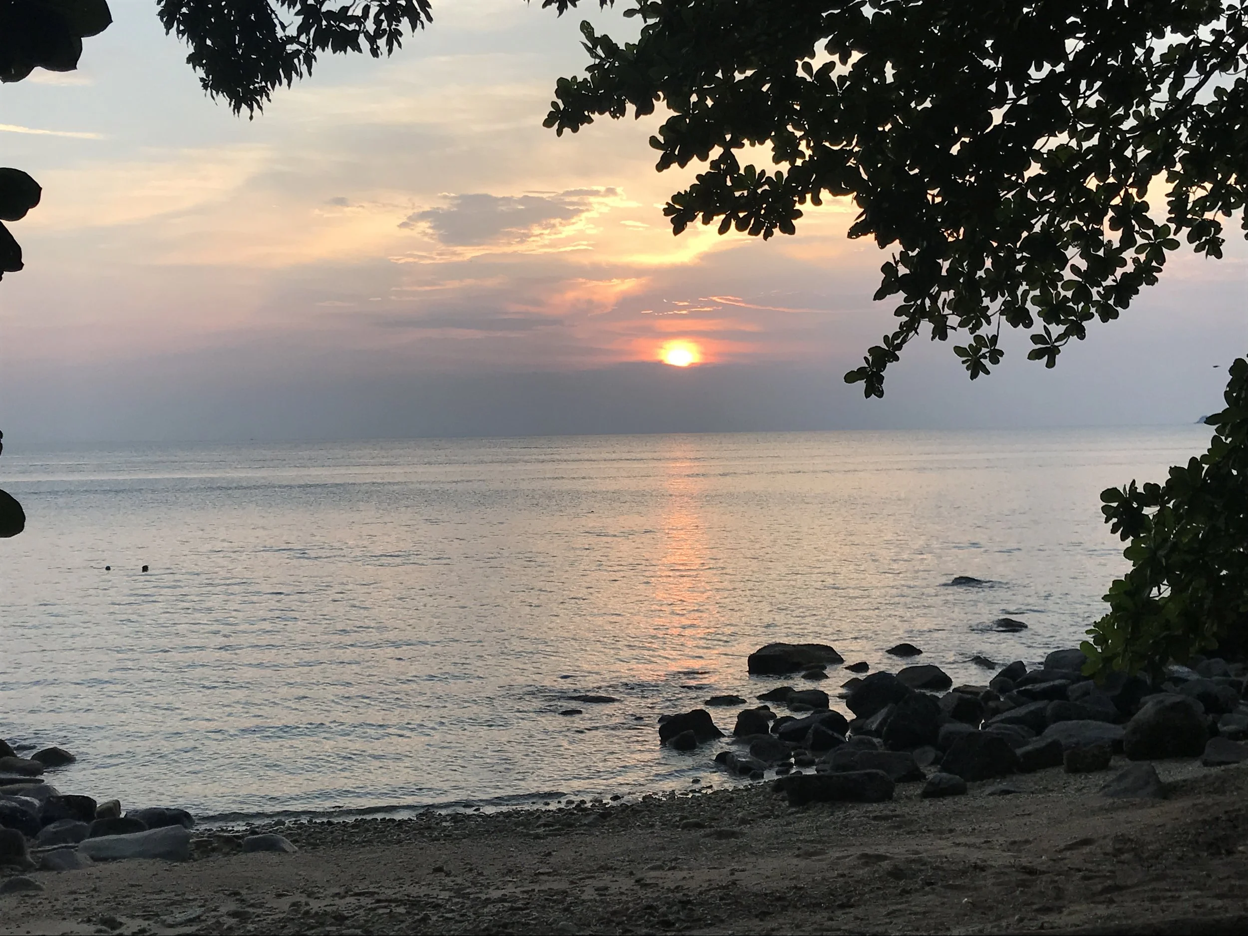 IMG_1638.jpeg