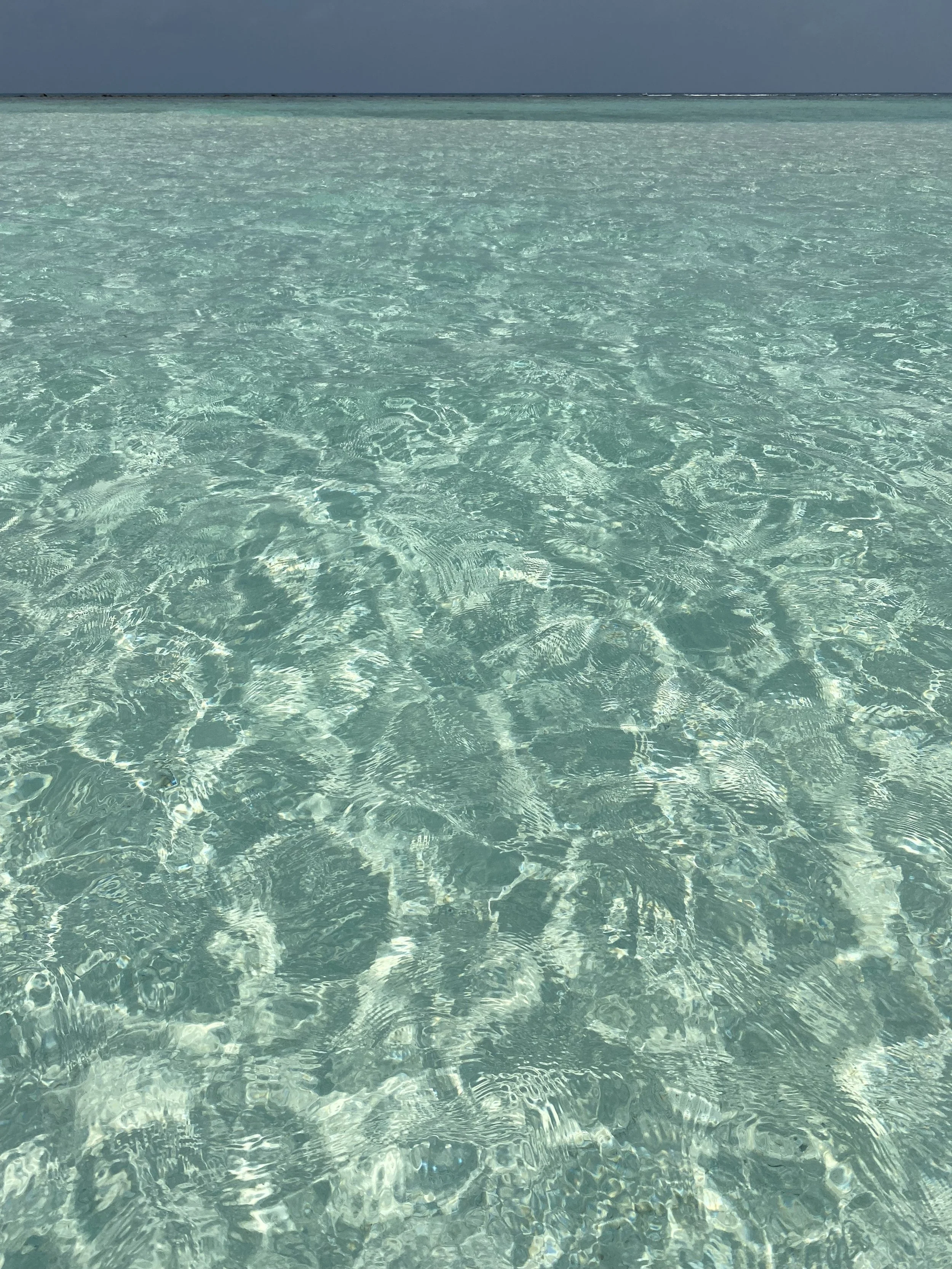 IMG_5701.jpeg