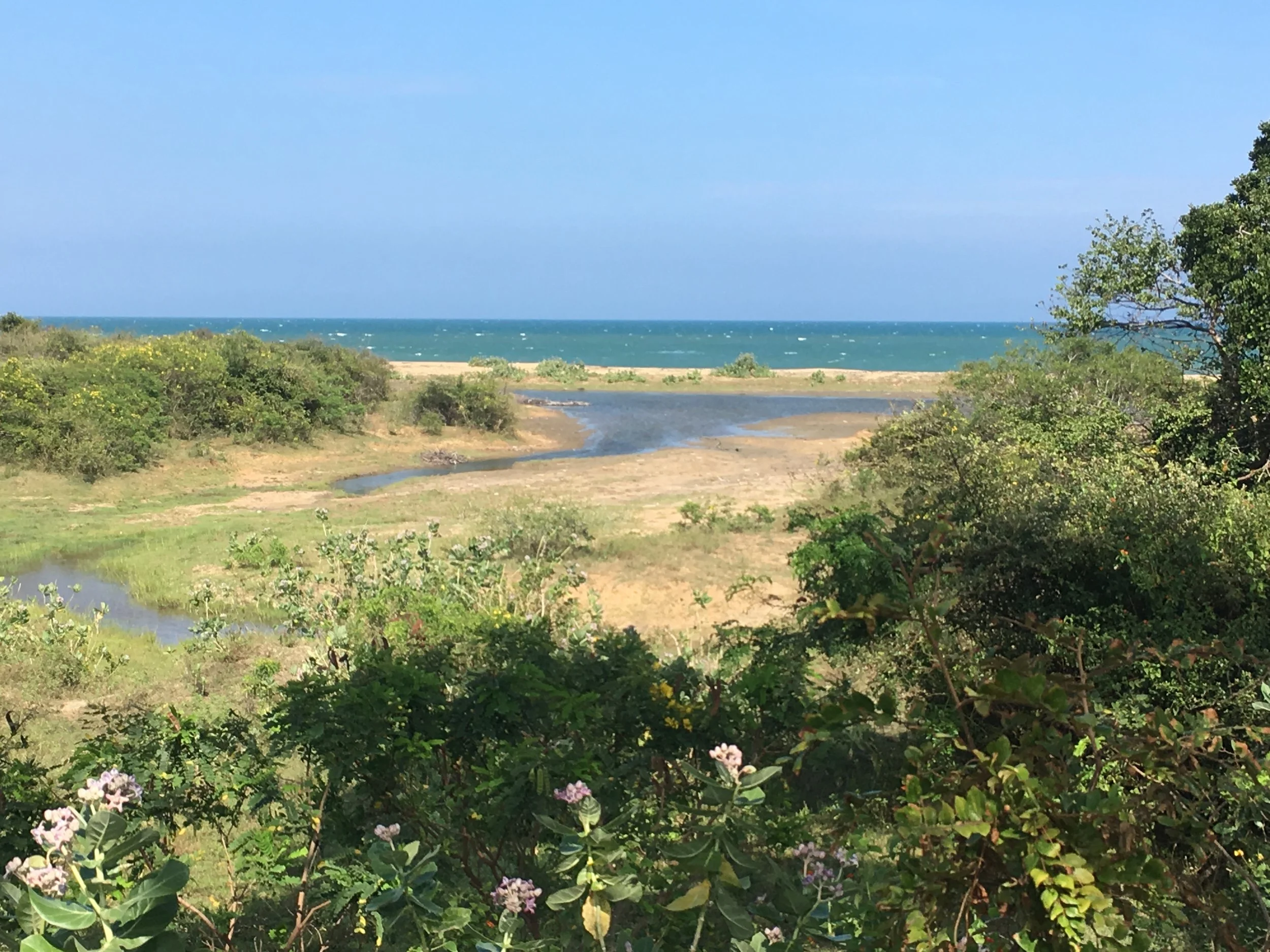 IMG_3072.jpeg