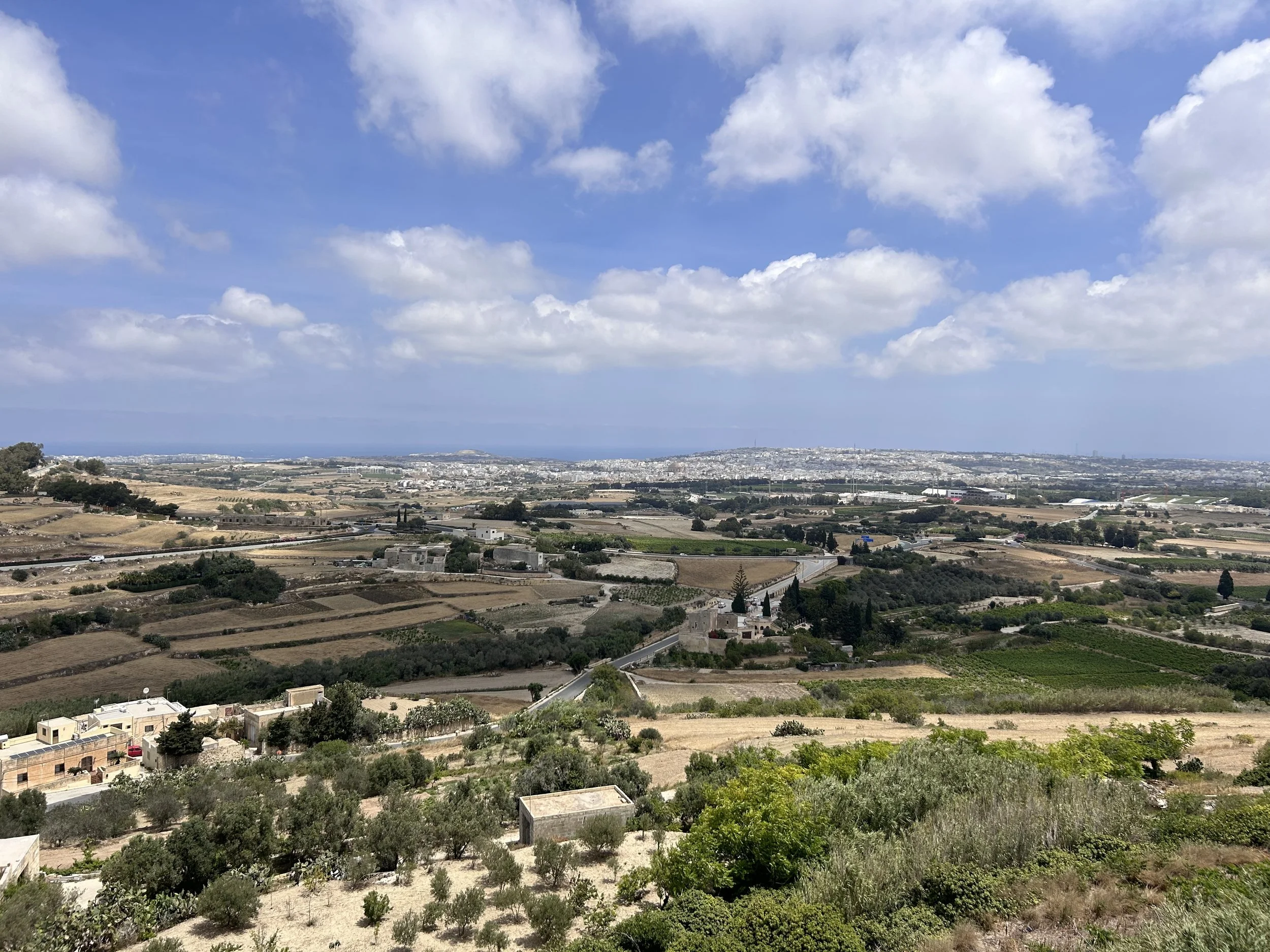 IMG_3262.jpeg