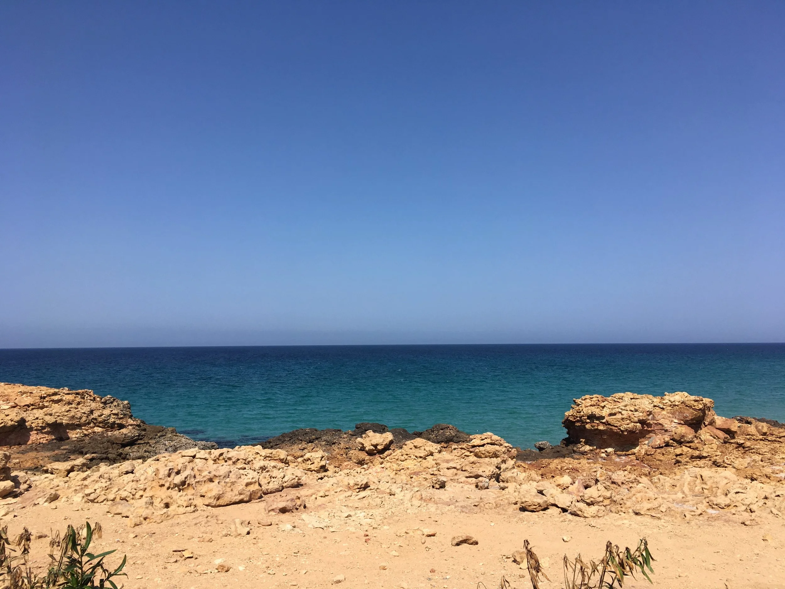 IMG_7203.jpeg