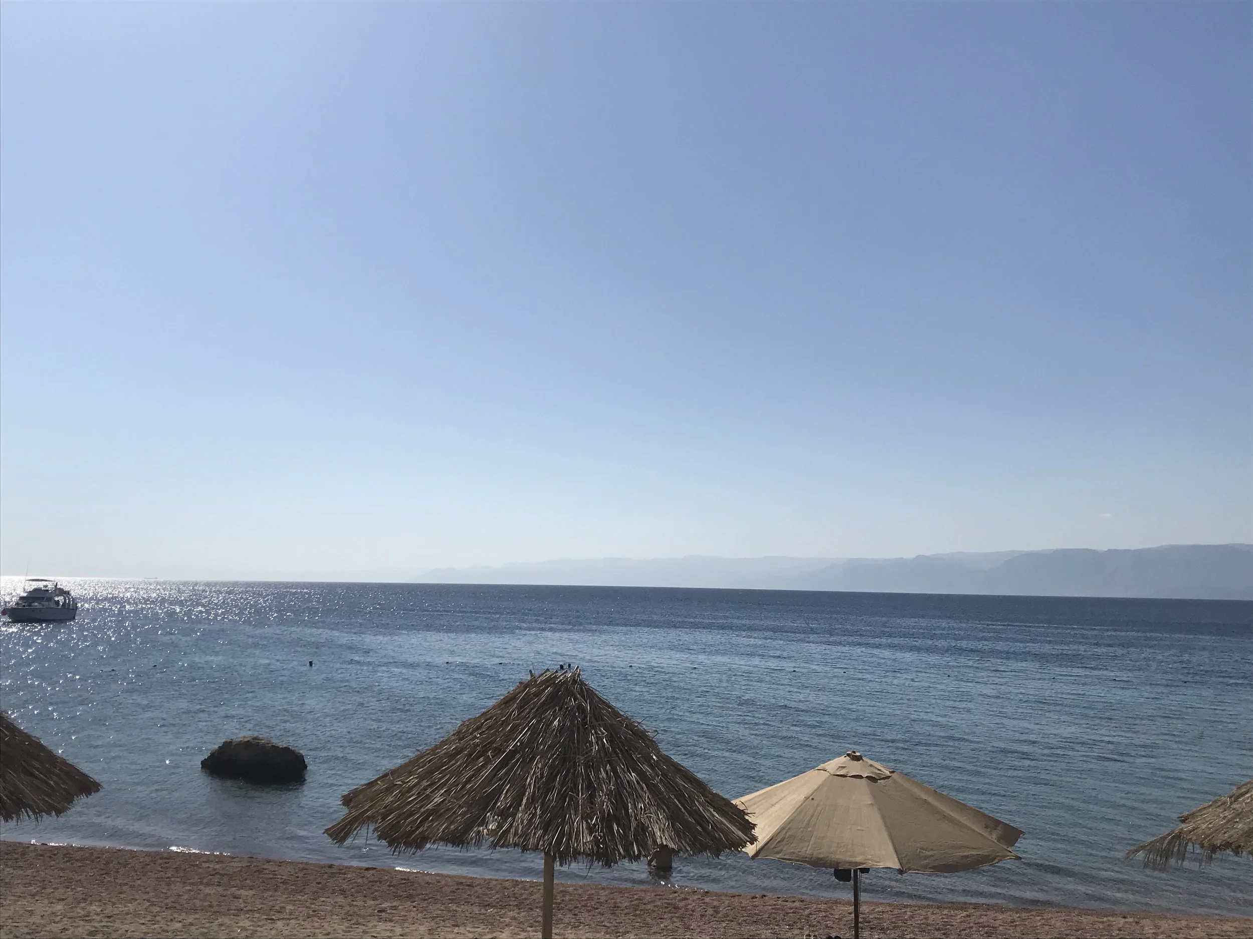 IMG_1547.jpeg