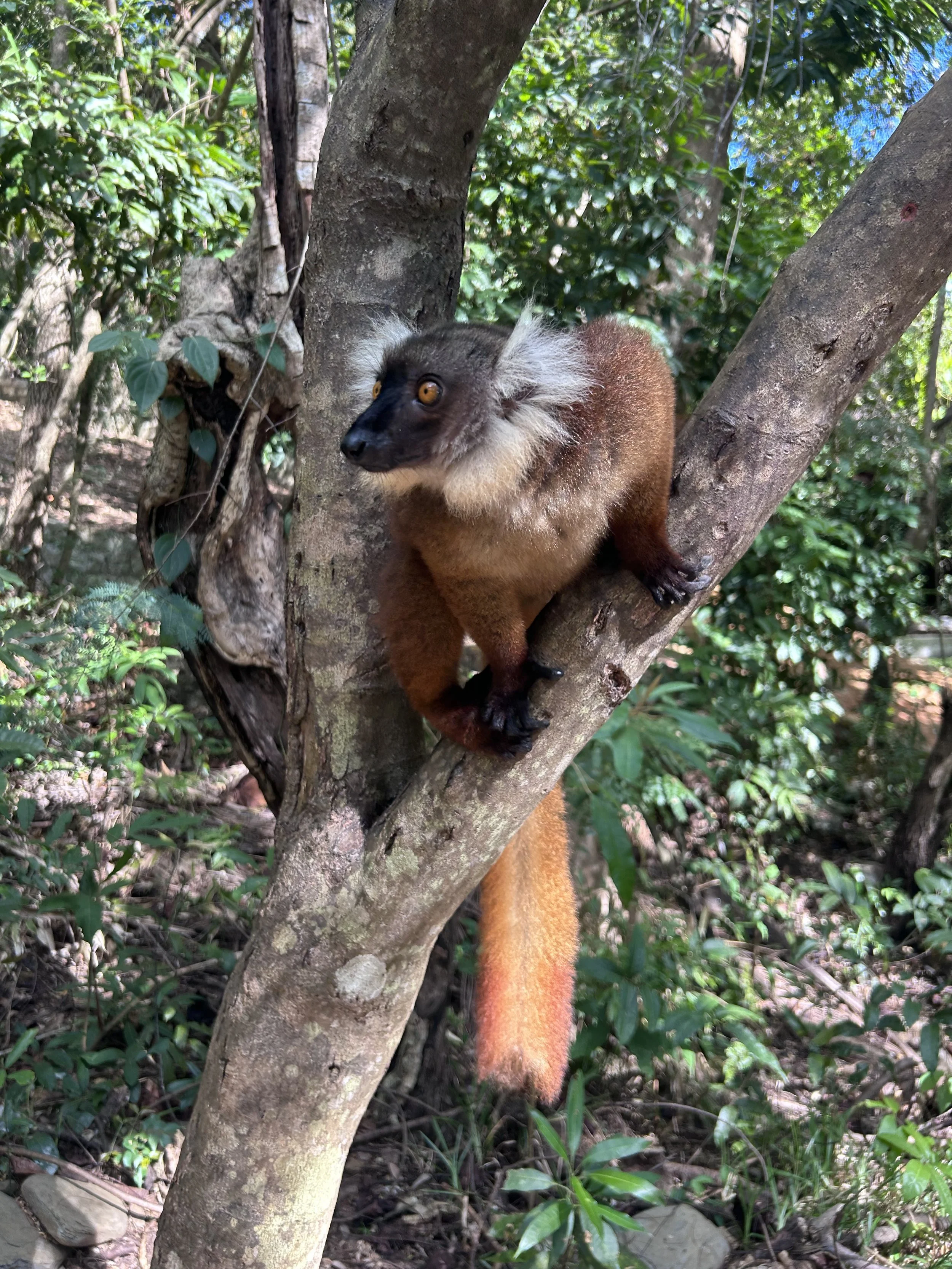 Madagascar