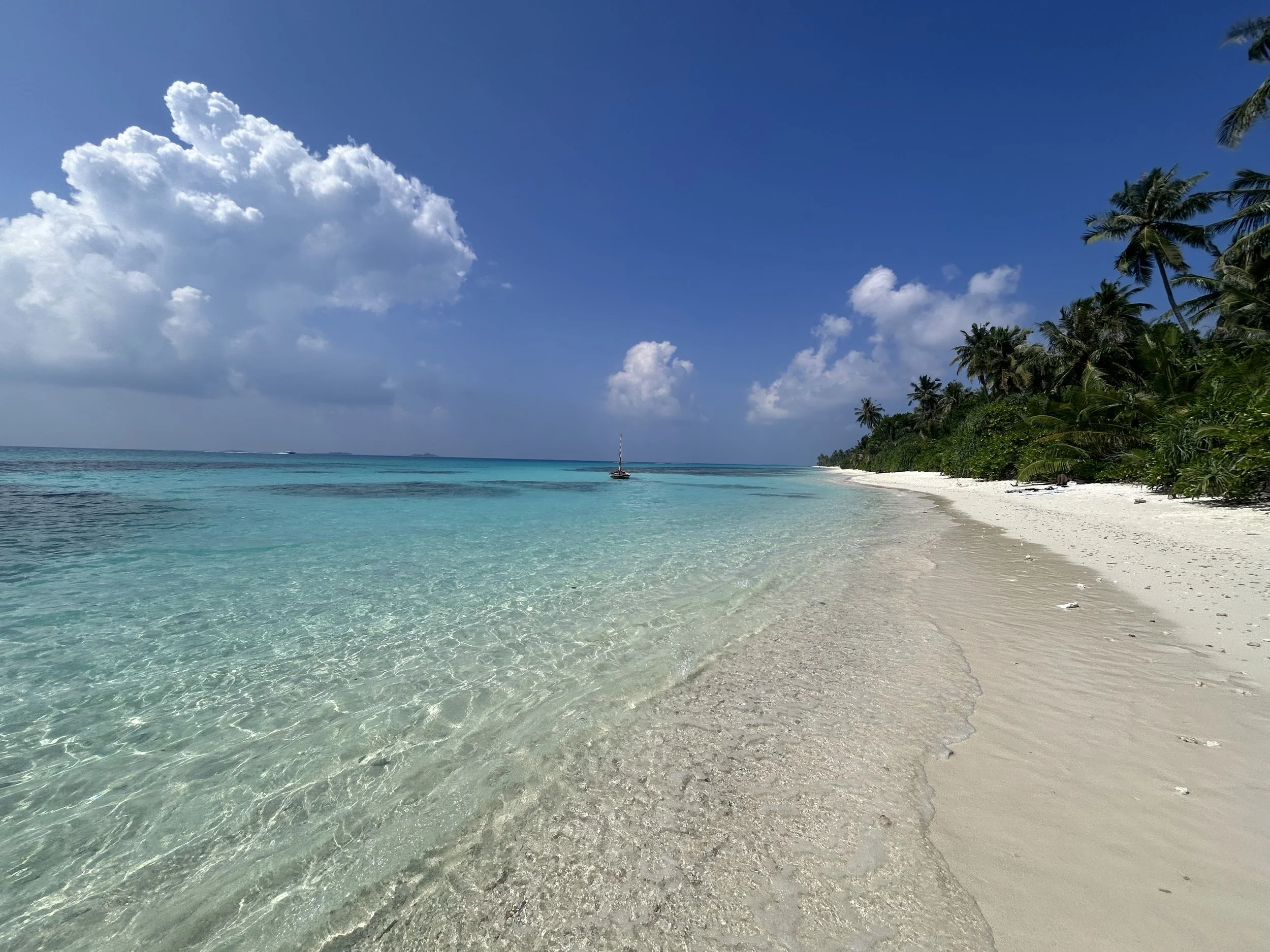 Maldive