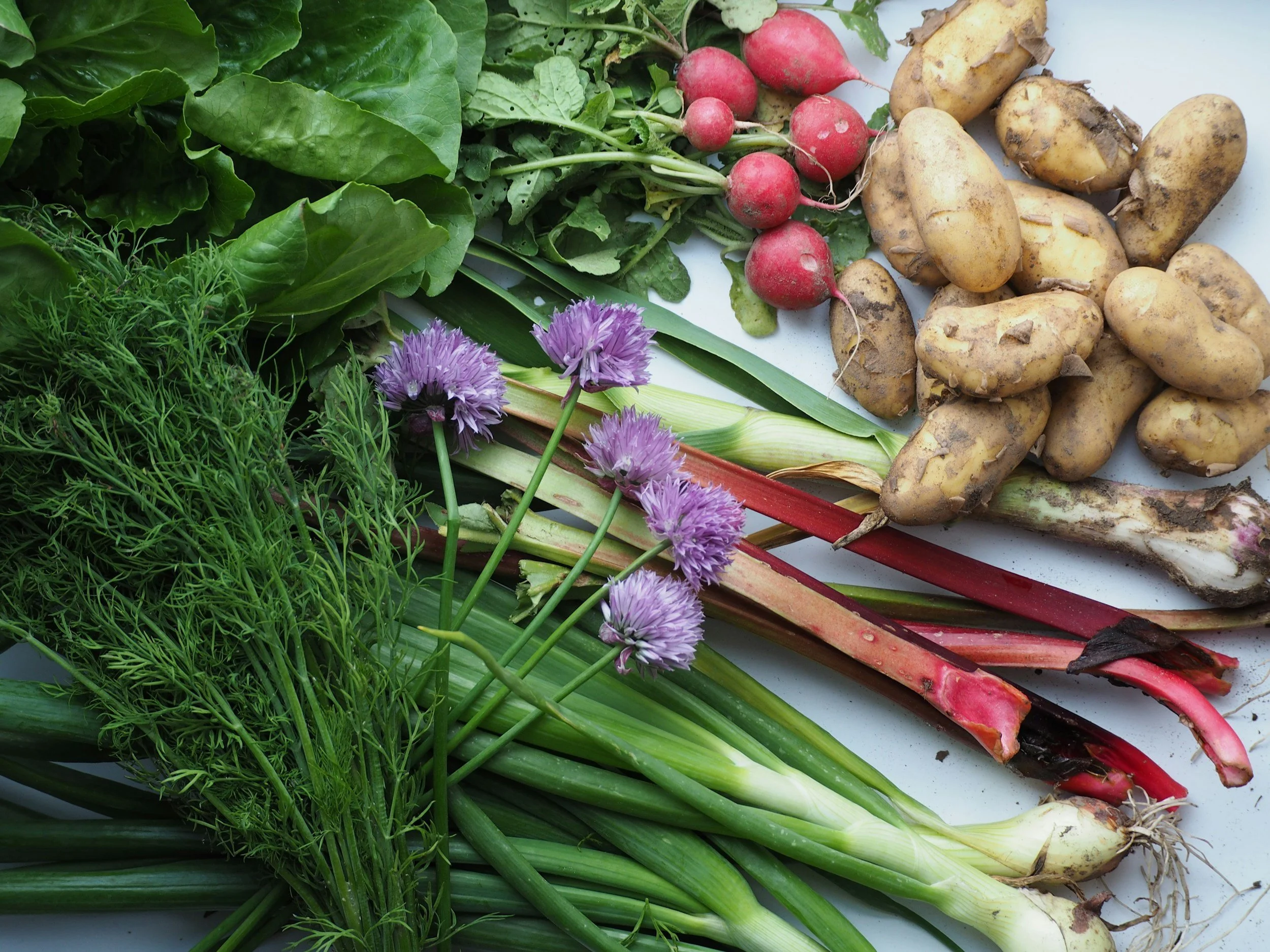 Vegetables and chive blossom flowers