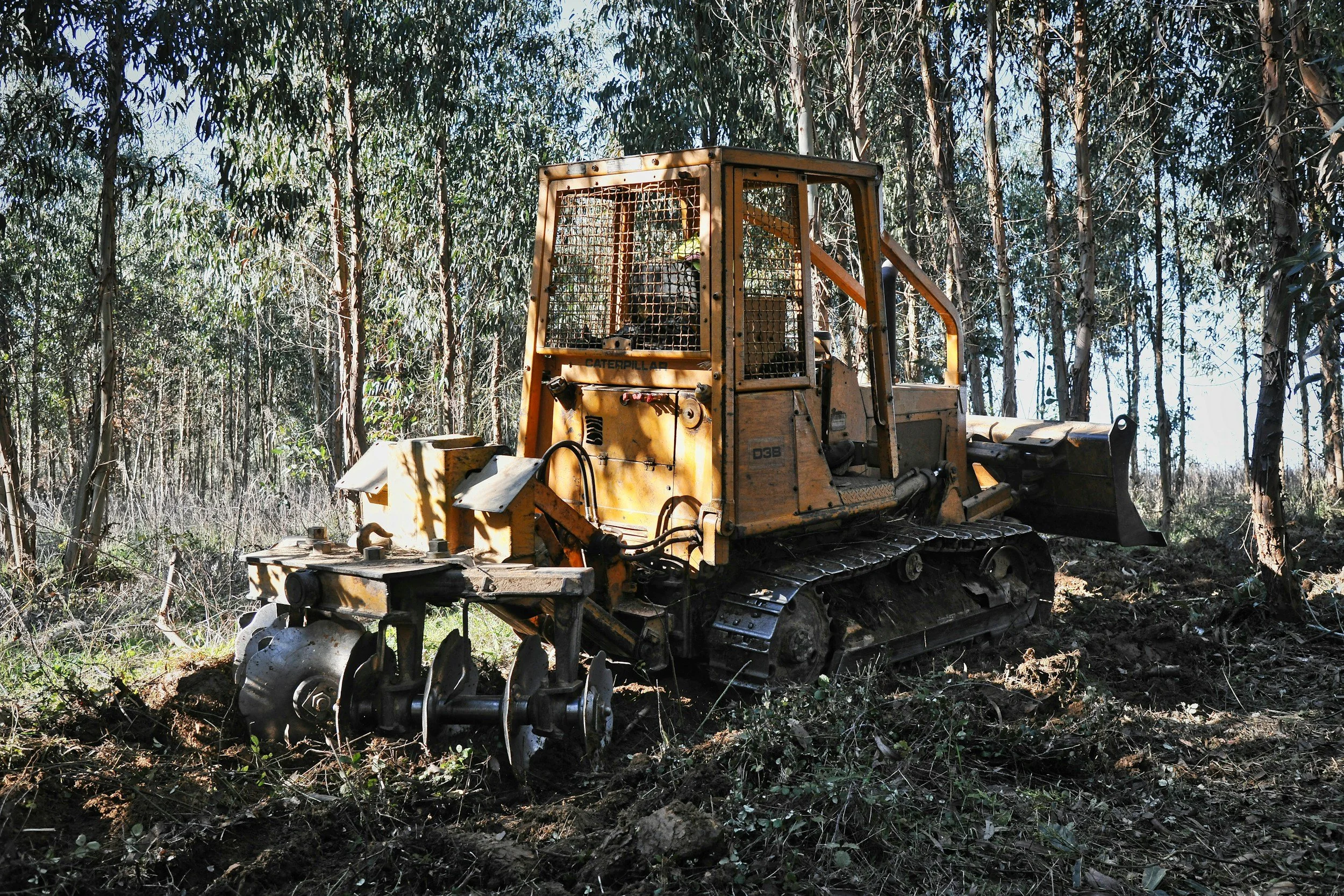 Forestry mulching machine clearing brush and small trees on a wooded lot in Randolph County, Indiana