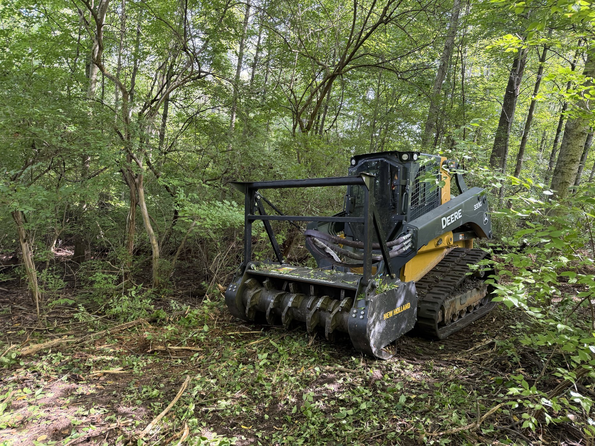 Forestry mulcher clearing dense woods on a property in Richmond, Indiana.