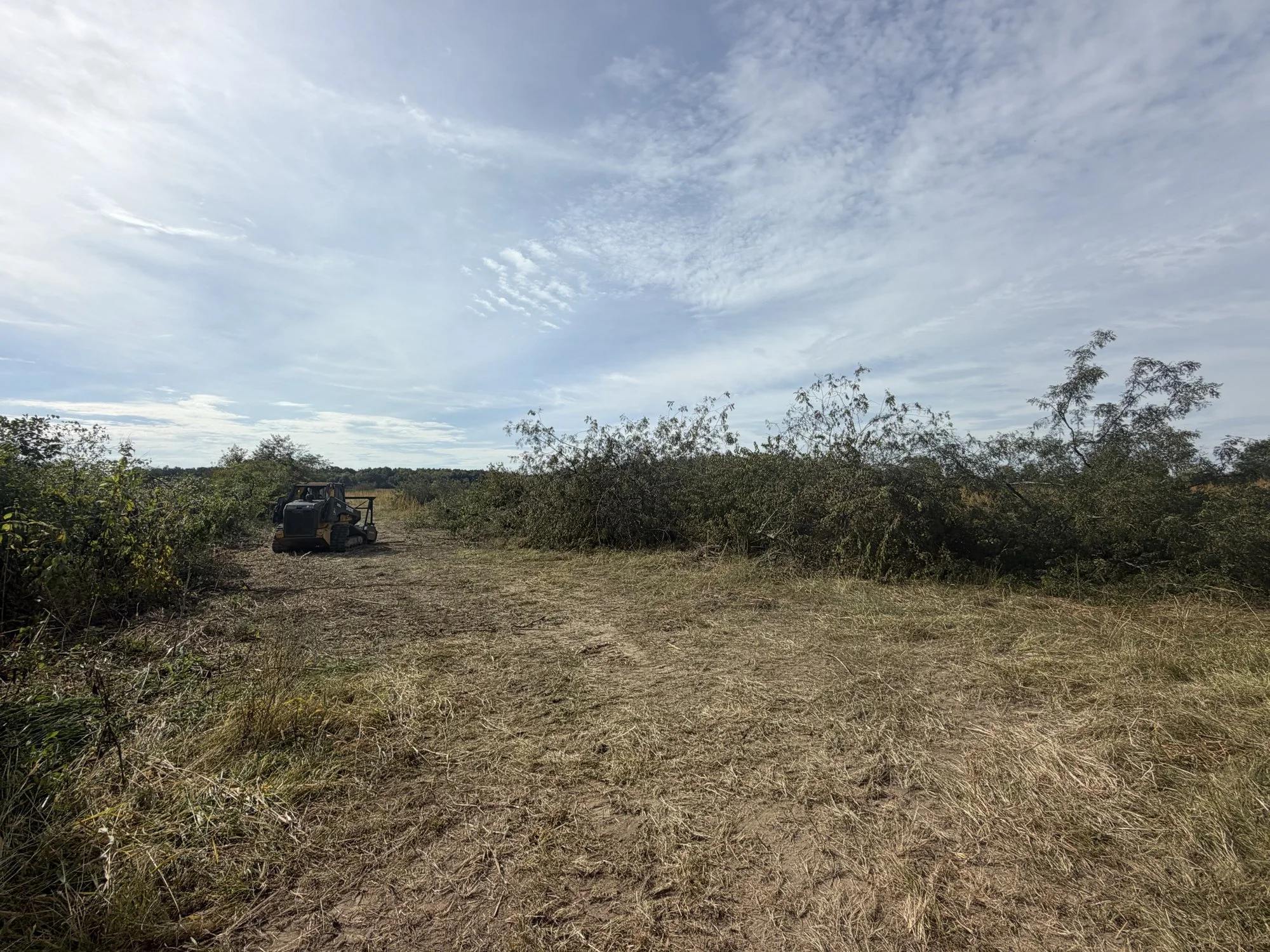 After forestry mulching: the same field edge cleared, brush ground into mulch in place, Farmland, Indiana