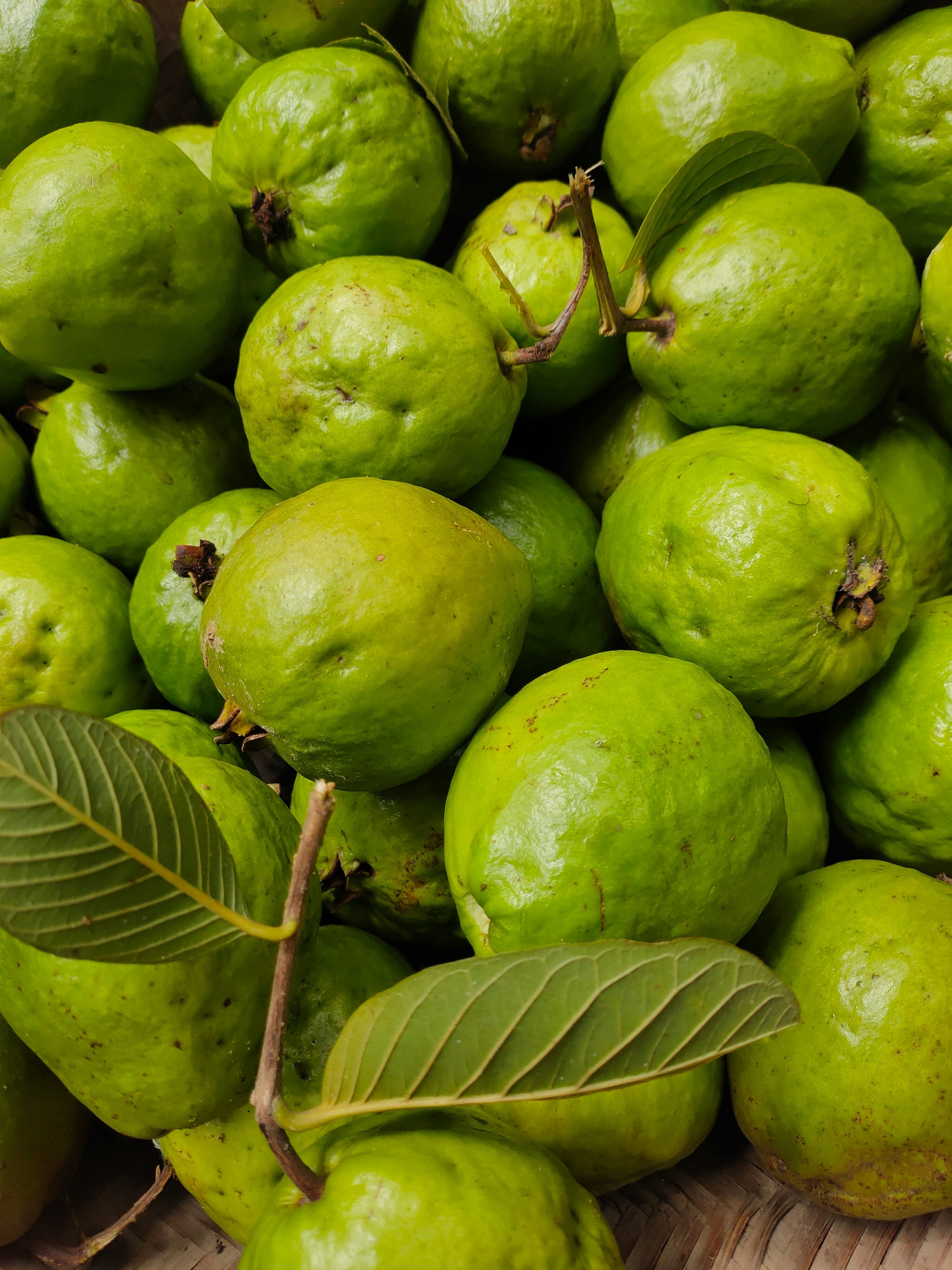 Guava