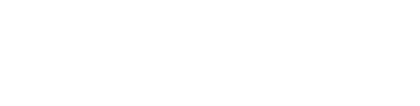 Born Hospitality Group (Copy)