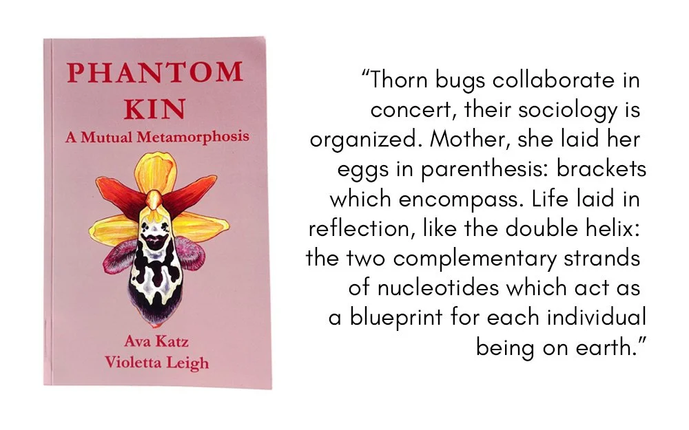 An image of the collaborative text between Vancouver artist Ava Katz and writer Violetta Leigh. The cover is pink and features a watercolour illustration of an orchid blossom.