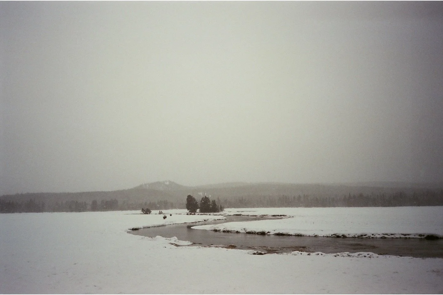 Yellowstone {Film &amp; Digitals}

Olympus LT-1 📸
