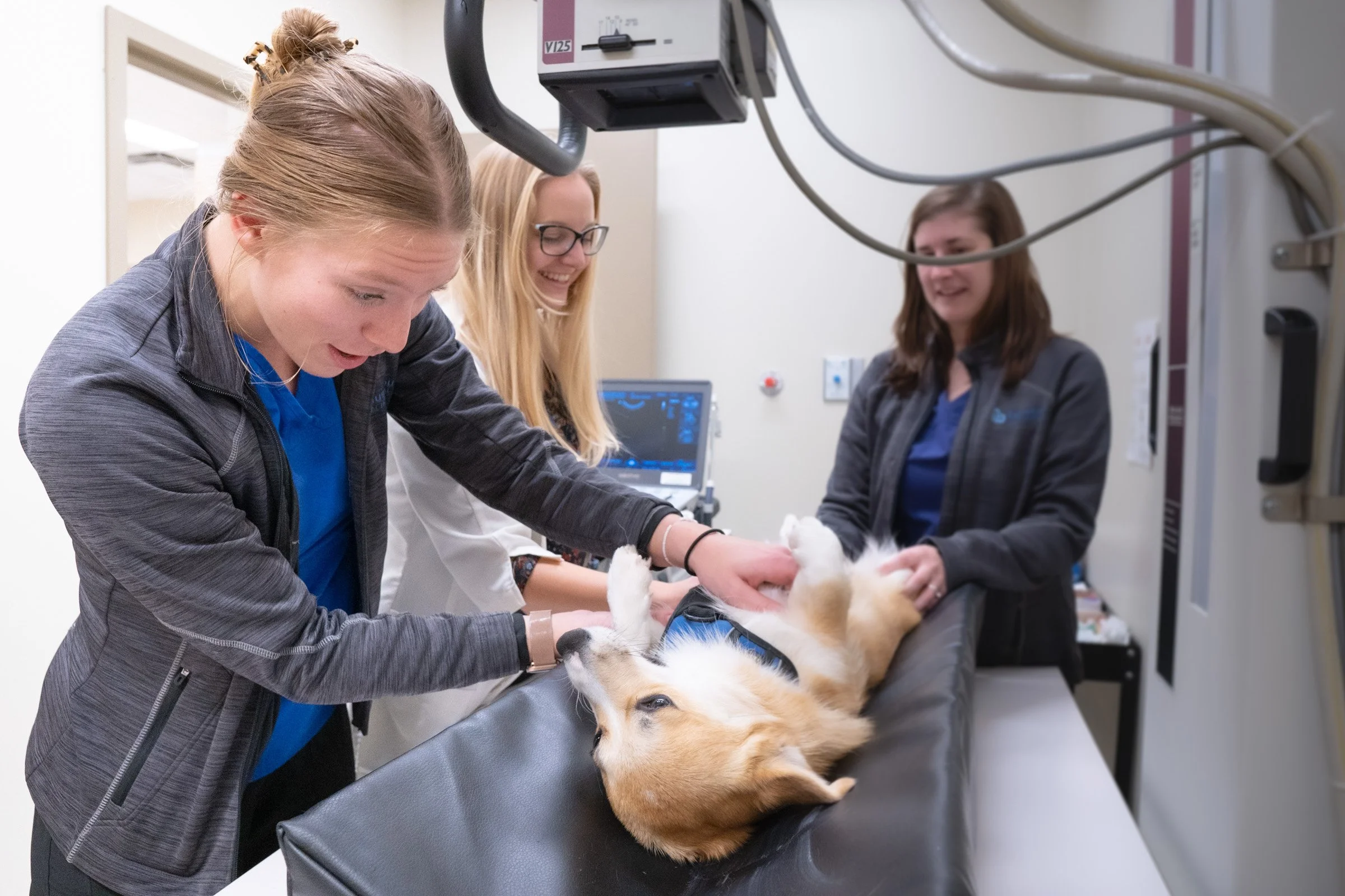 Three women in medical attire examining a dog on a veterinary table in a clinical setting.