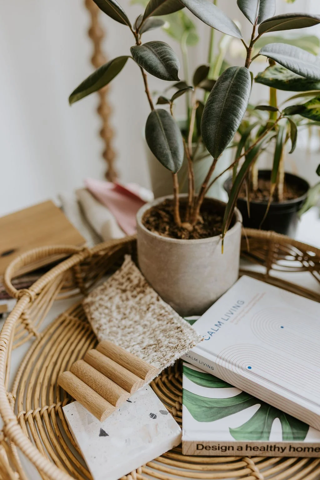 Natural materials, plants and design books selected for a calm, wellness-focused interior.