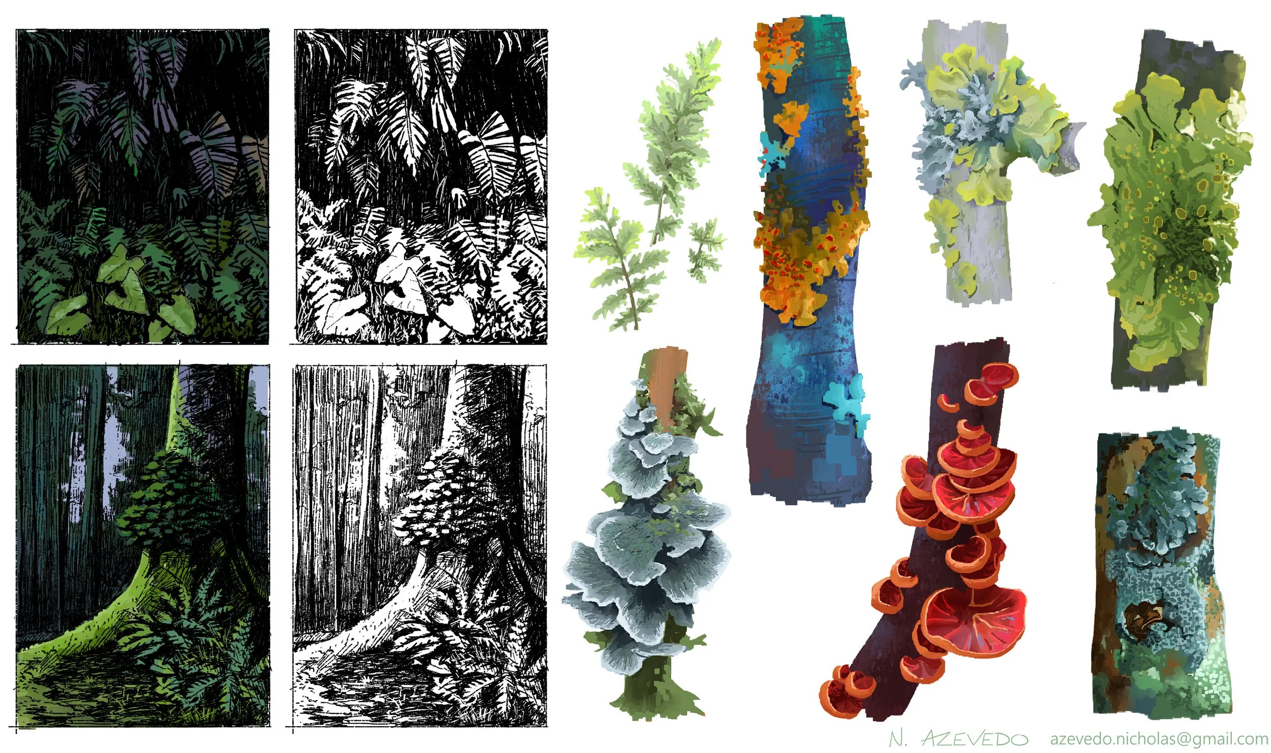 Visual development foliage study sheet featuring color material renders of tree bark, lichens, shelf fungi, and ferns on the left, alongside black and white line art and color key studies of dense forest environments on the right.