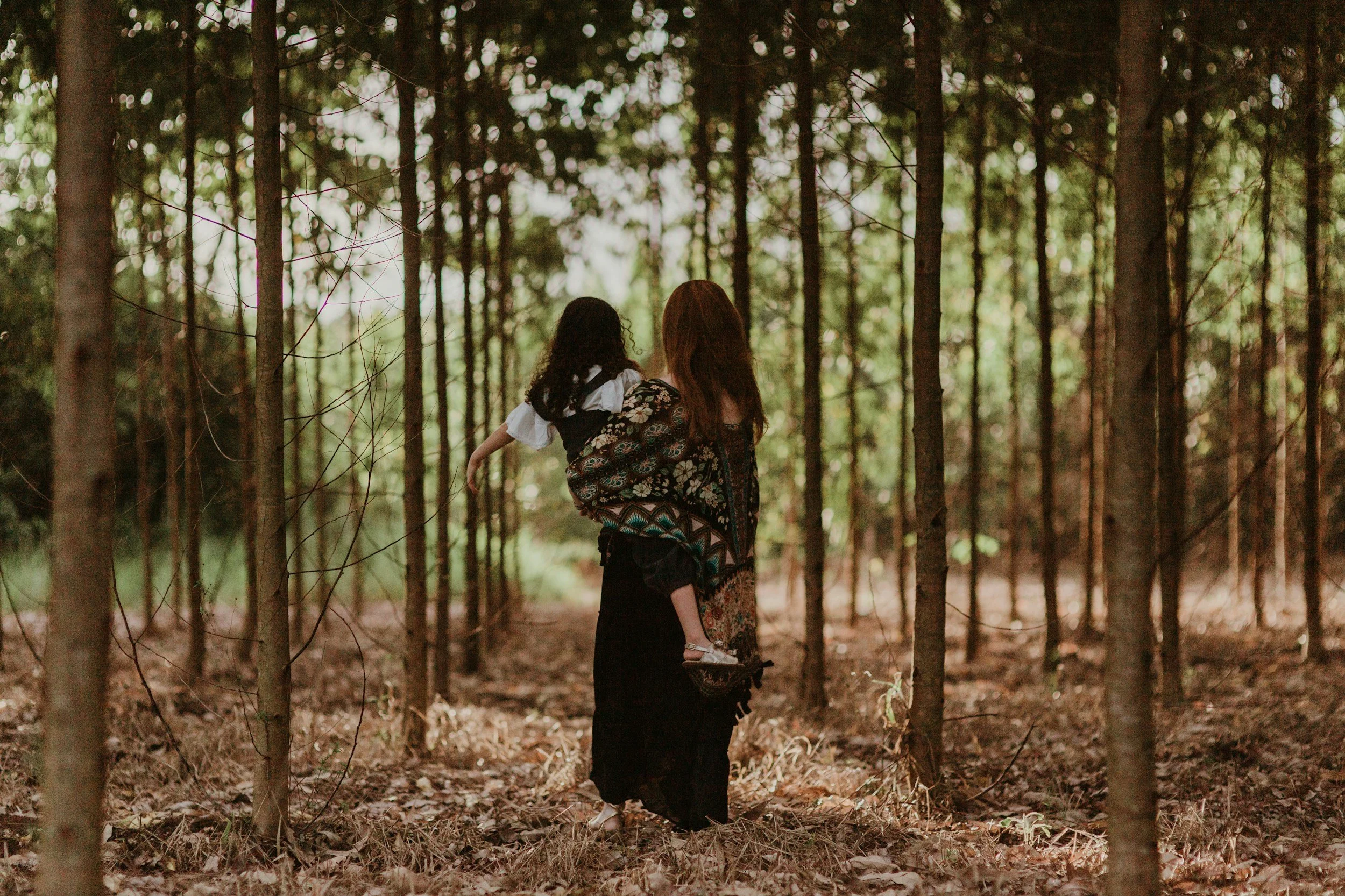 A woman holding a child in a forest with tall, thin trees and dappled sunlight filtering through the leaves.