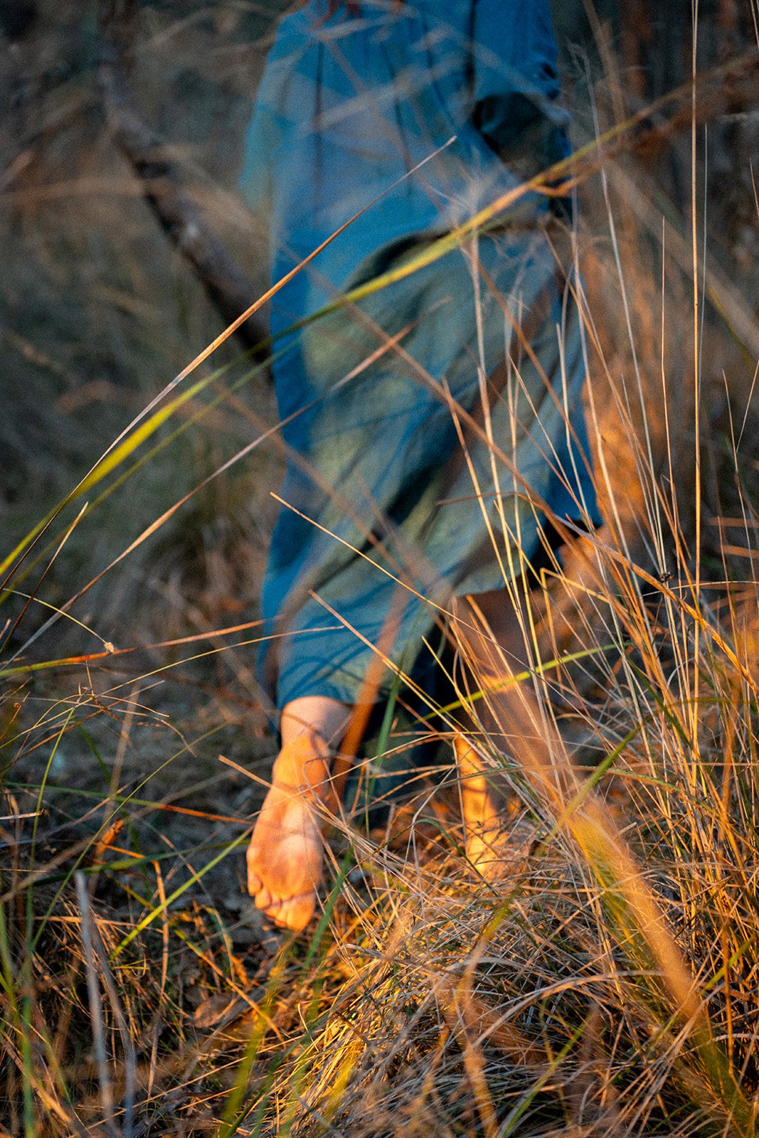 Person wearing a blue jacket crouching among tall dry grass in a natural outdoor setting