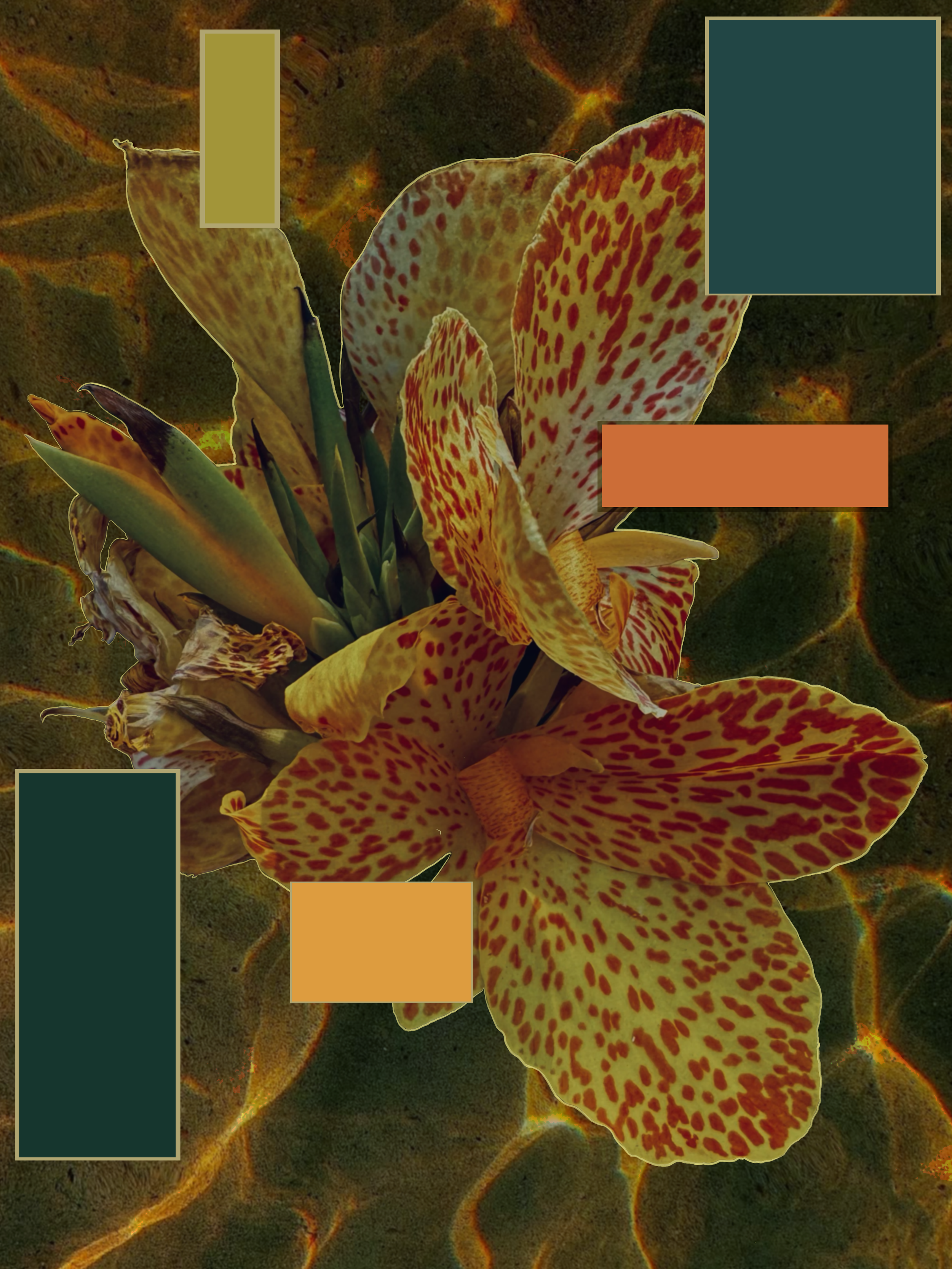 IMG_7343.png