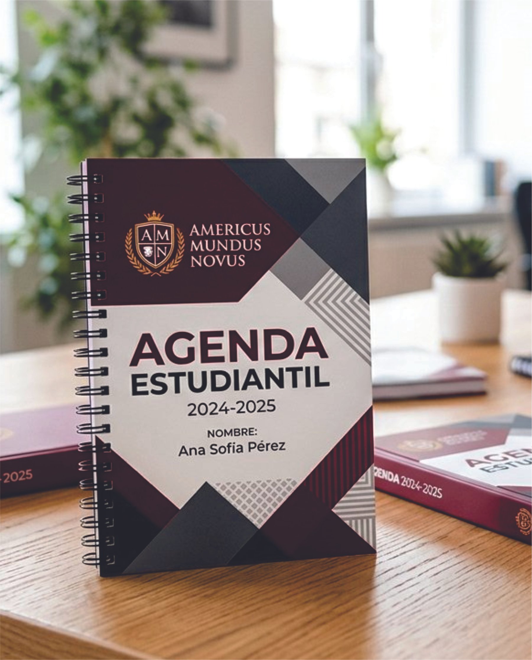 agendas web 4.jpg