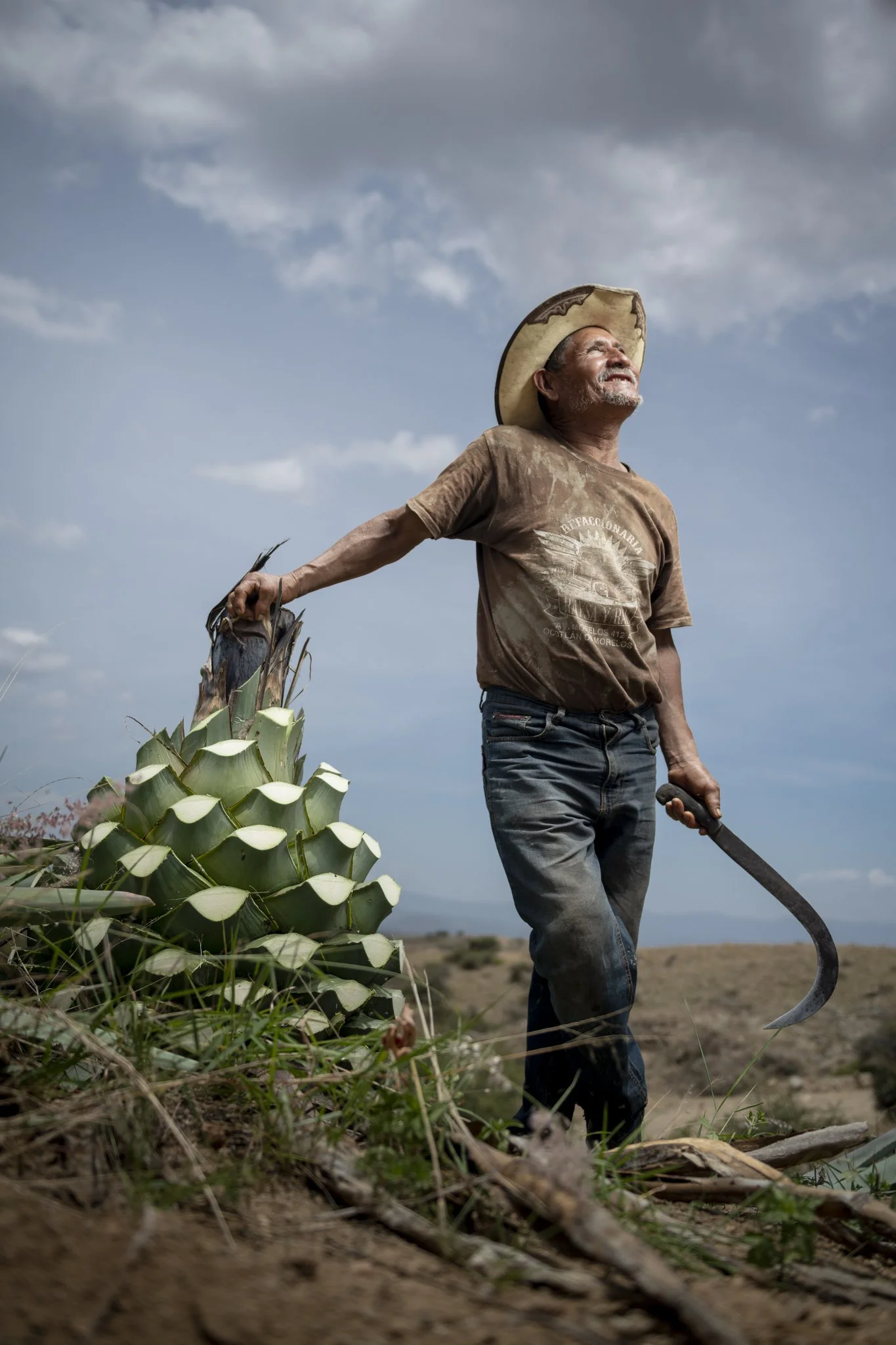 Un hombre de cabello gris y barba, usando una camiseta marrón y pantalones vaqueros, trabaja en un campo de agave bajo un cielo nublado, sosteniendo una herramienta de corte.