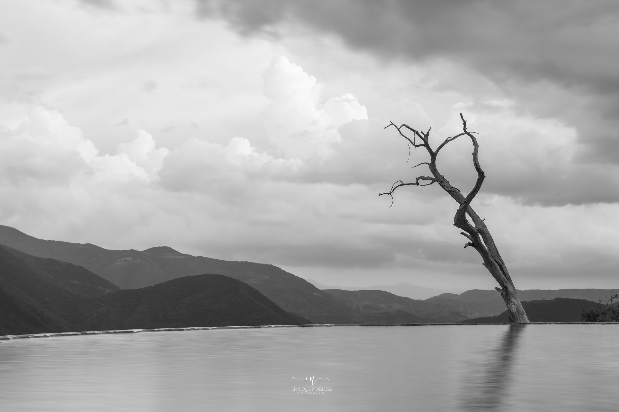 Árbol seco en primer plano frente a un paisaje de montañas y un río, con un cielo nublado en tonos de gris.