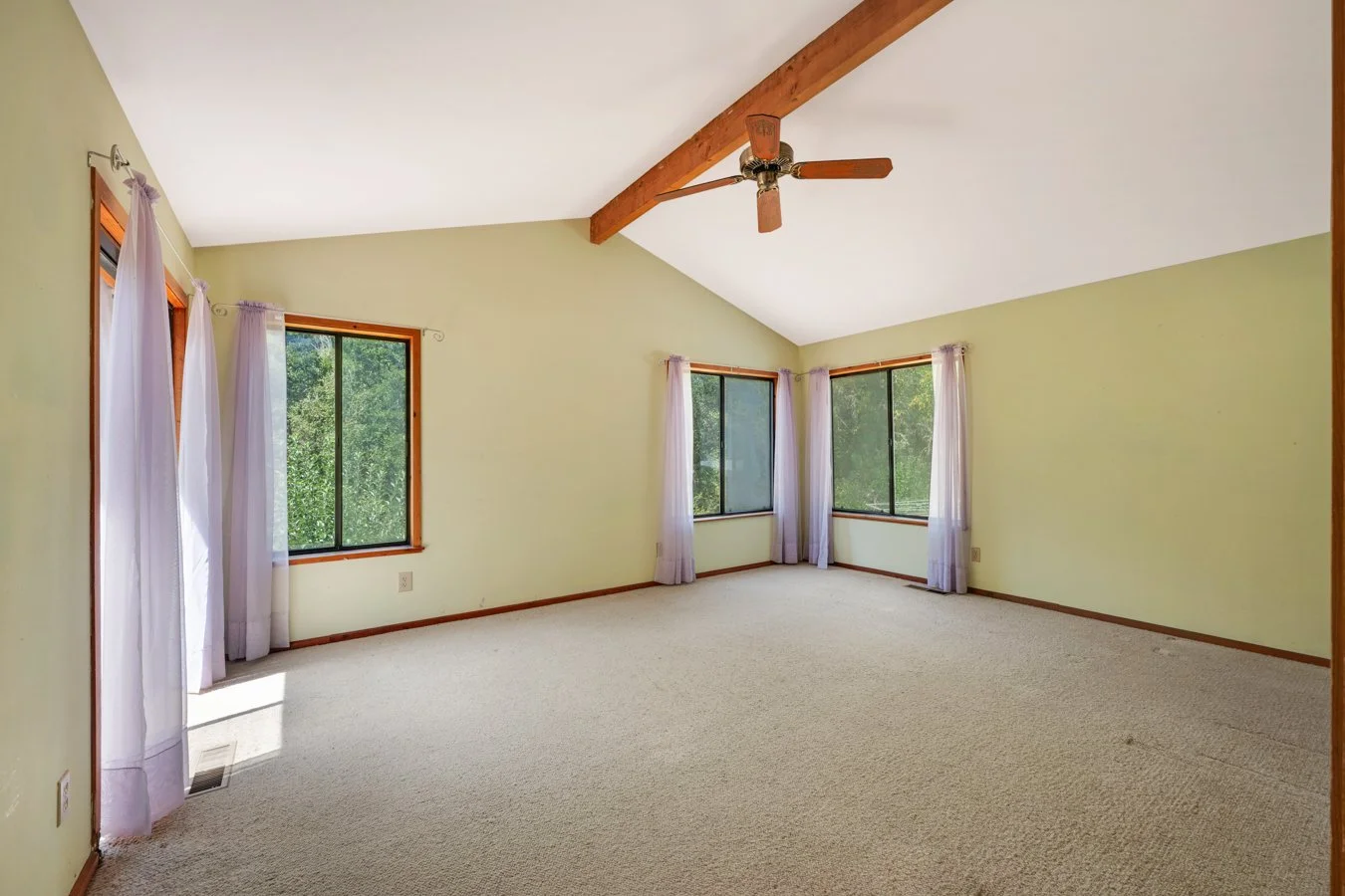 Empty room with three large windows, beige carpet, light green walls, wooden trim, a ceiling fan, and white curtains.