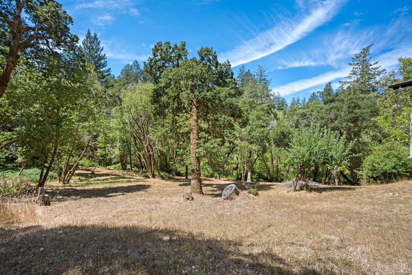 A shaded clearing in a forested area with trees, some rocks, and a blue sky with streaks of white clouds.