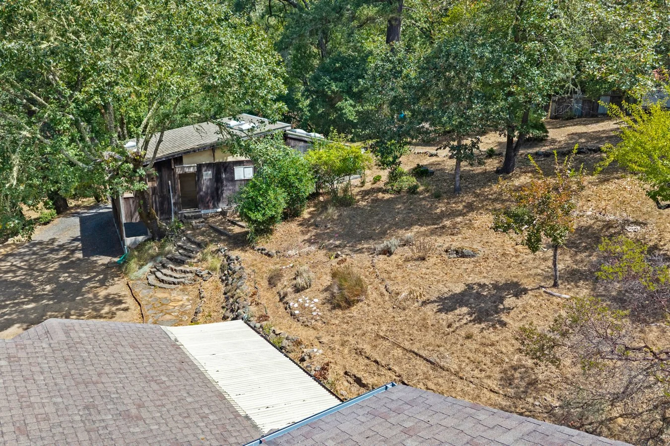 A backyard with dry grass, trees, a small wooden shed, steps leading to the shed, and a gravel path. The photo appears to be taken from the roof of a house.