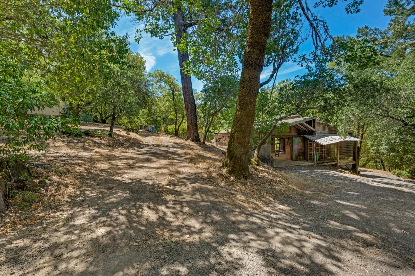 A dirt pathway surrounded by trees leading to a rustic wooden house in a wooded area under a blue sky with clouds.