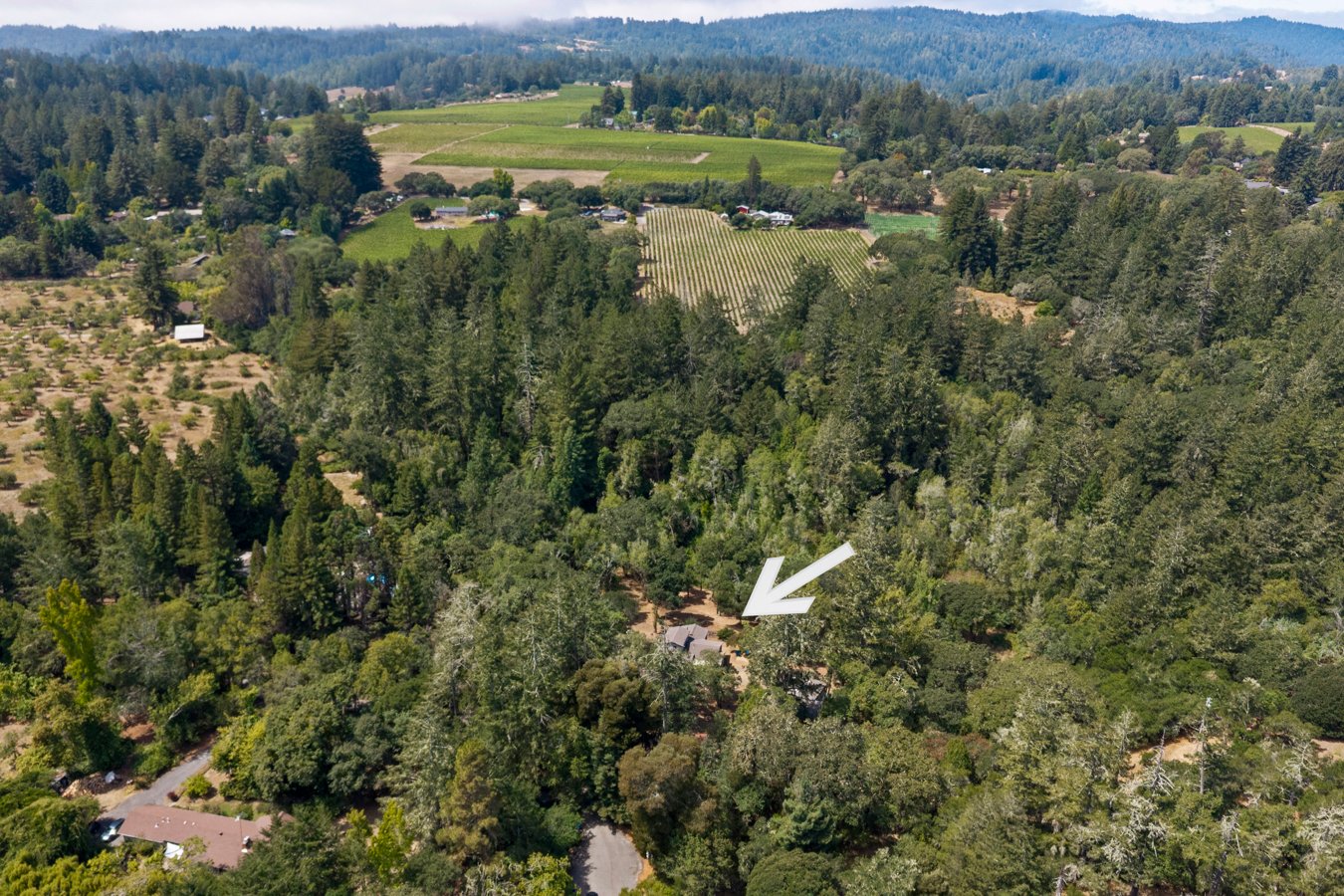 Aerial view of a rural area with dense trees, open land, and farms in the background. There is a house with an arrow pointing to it in the middle of the image.