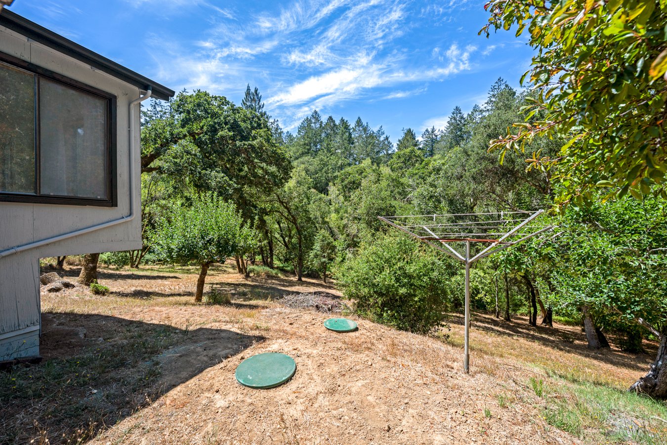 Backyard with trees, a house, a clothesline with rotating drying rack, and two green round covers on the ground under a partly cloudy blue sky.