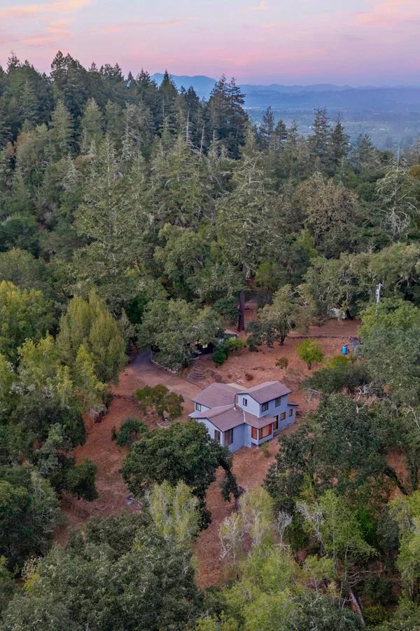 A modern house surrounded by tall trees in a forested area during sunset or sunrise.