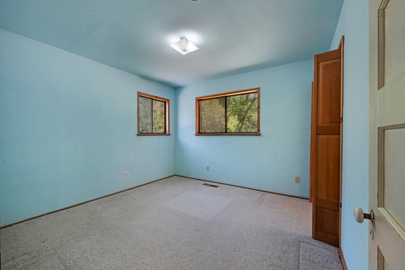 Empty bedroom with light blue walls, beige carpet, and two windows showing outdoor greenery.