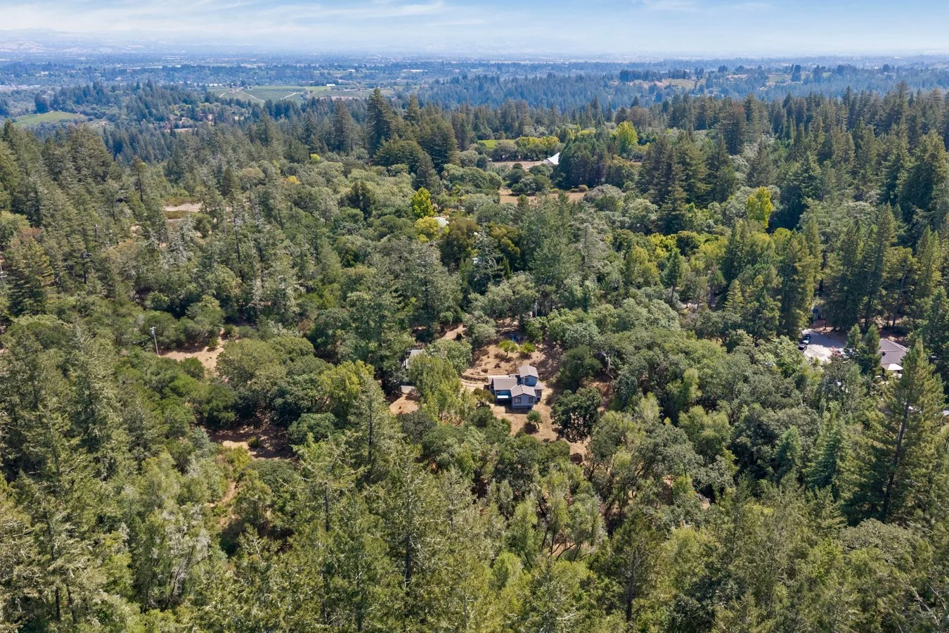 Aerial view of a small house surrounded by a dense forest with tall trees and rolling hills in the distance.
