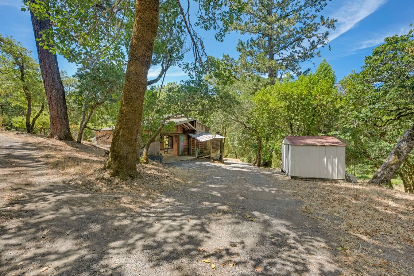 A rustic outdoor scene with trees, a small building under construction, and a white shed on a dirt path surrounded by greenery under a blue sky.