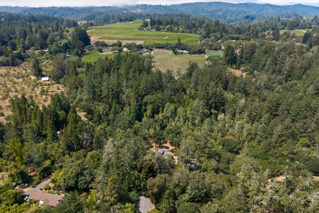 Aerial view of a lush, green landscape with dense trees, open fields, and some farm and residential structures in a rural area.