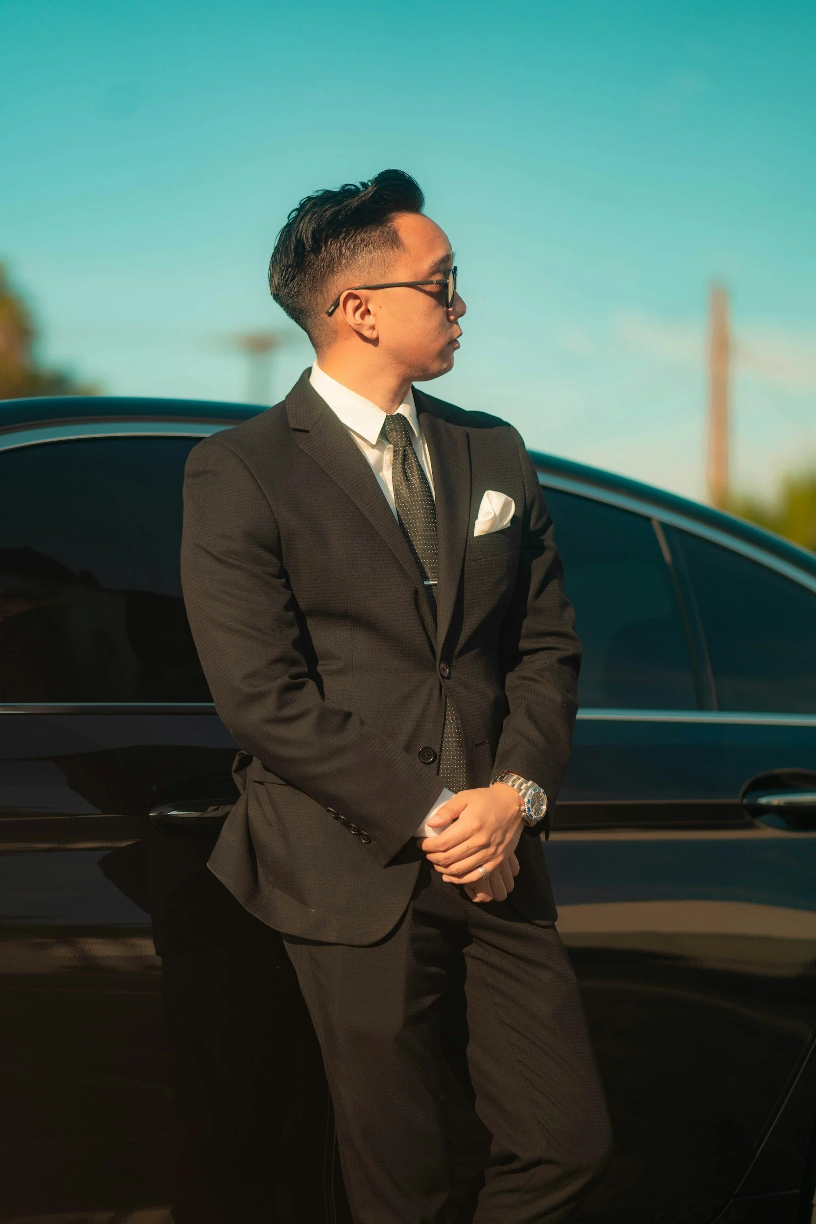 Executive Protection Consulting