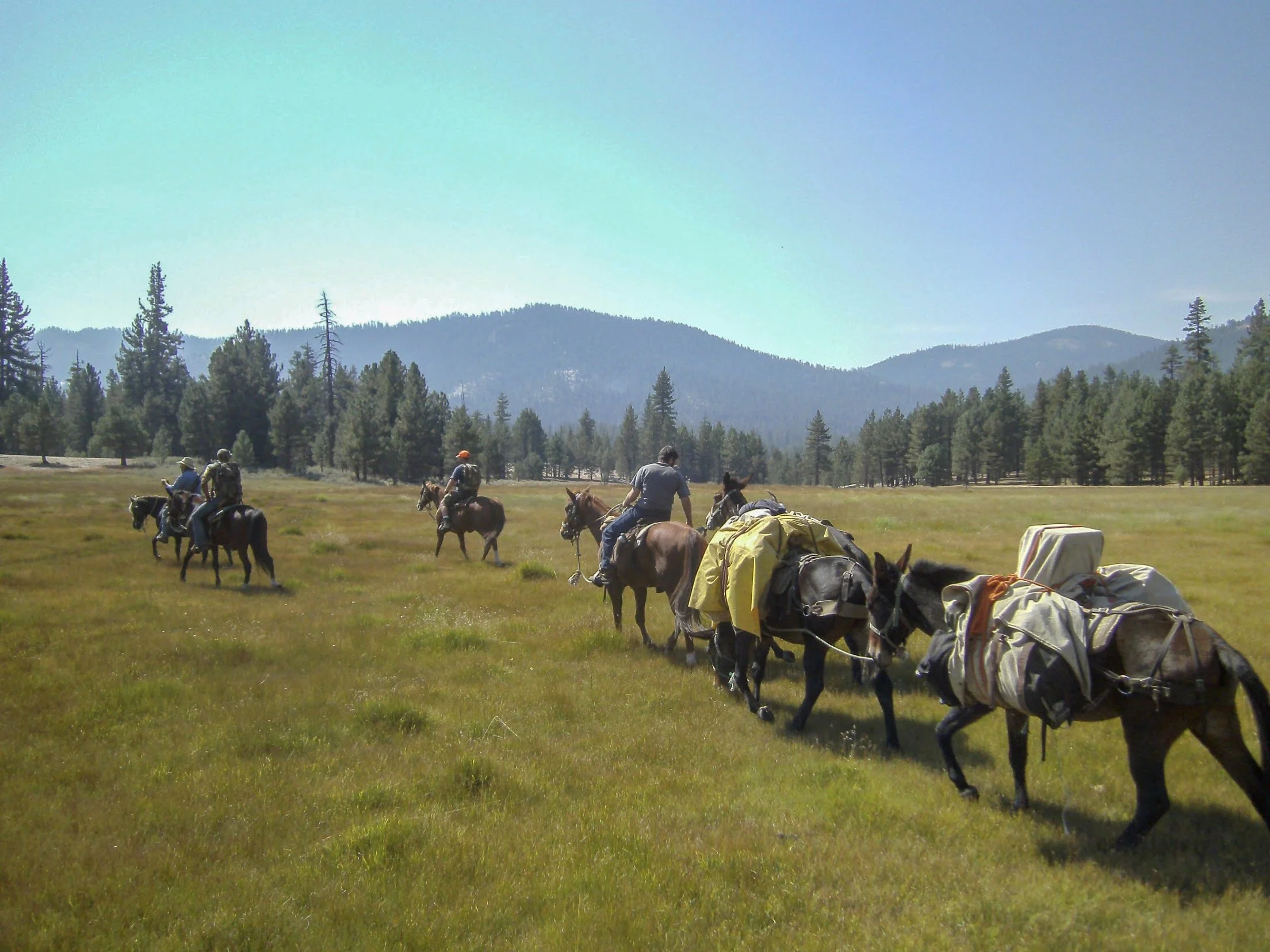 Golden Trout Wilderness Pack Trains