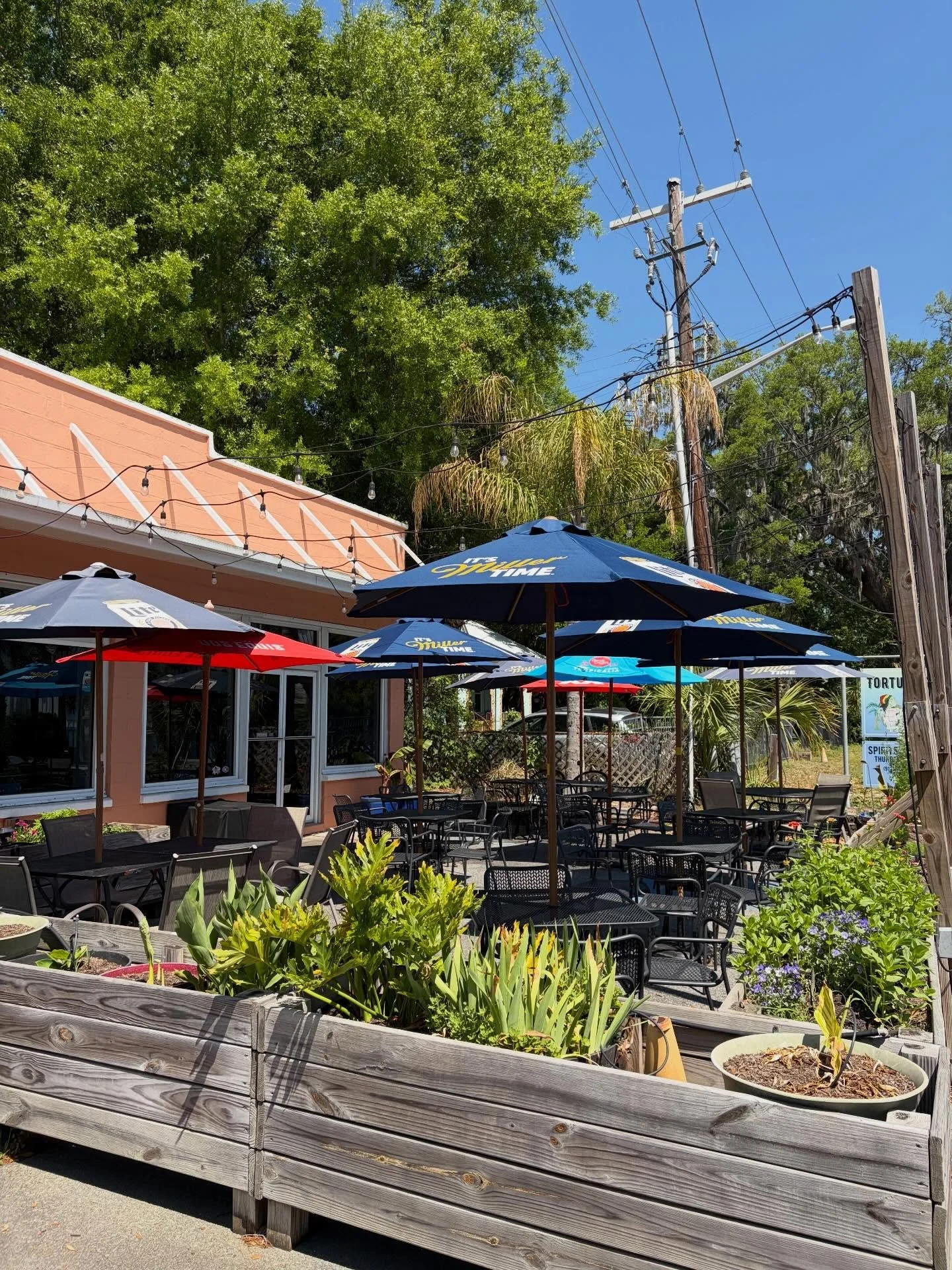 Outdoor patio with tables, chairs, umbrellas, and plants, adjacent to a building with string lights and a backdrop of green trees and utility poles with power lines.
